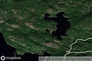 Svingertjonn