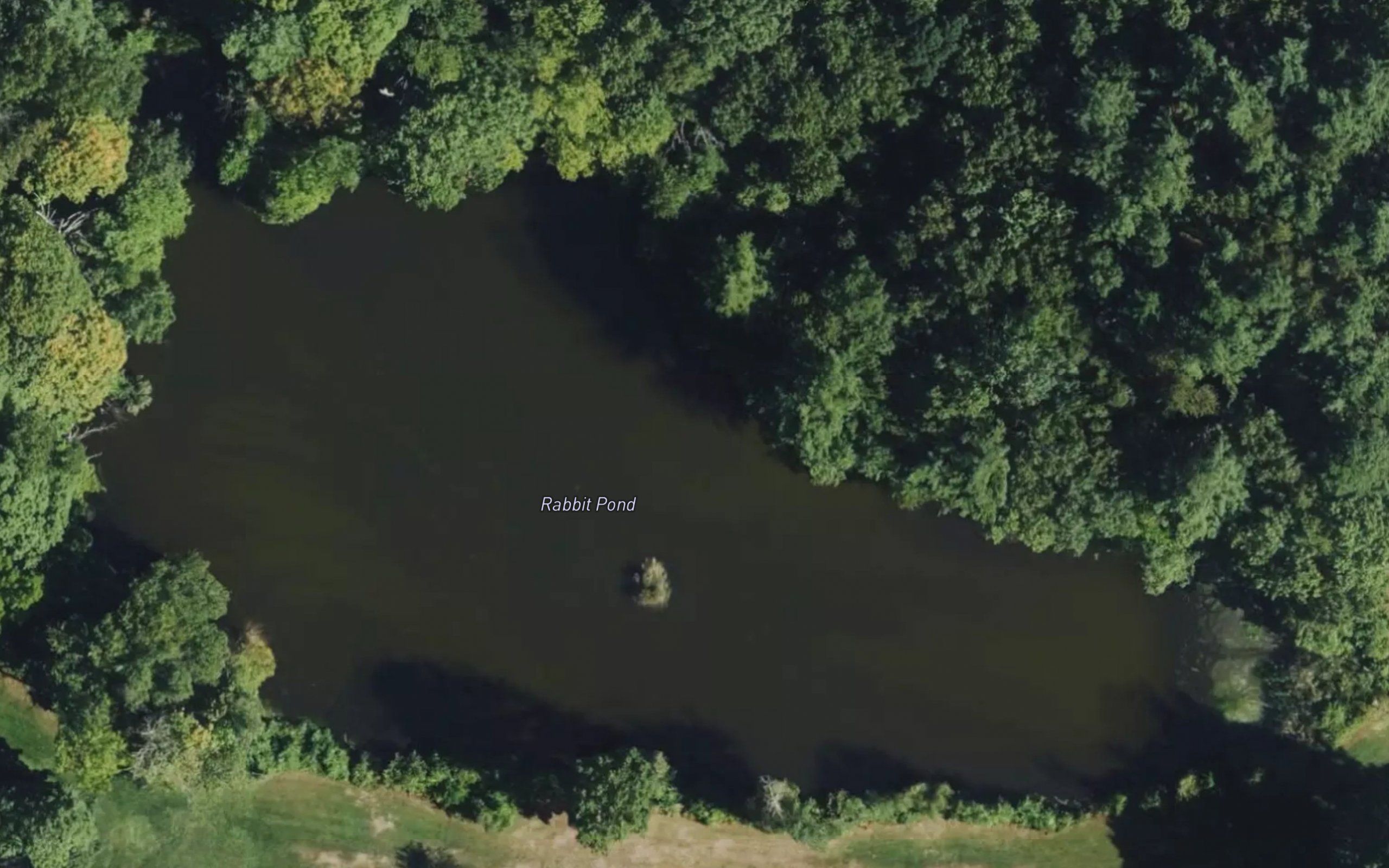 Rabbit Pond
