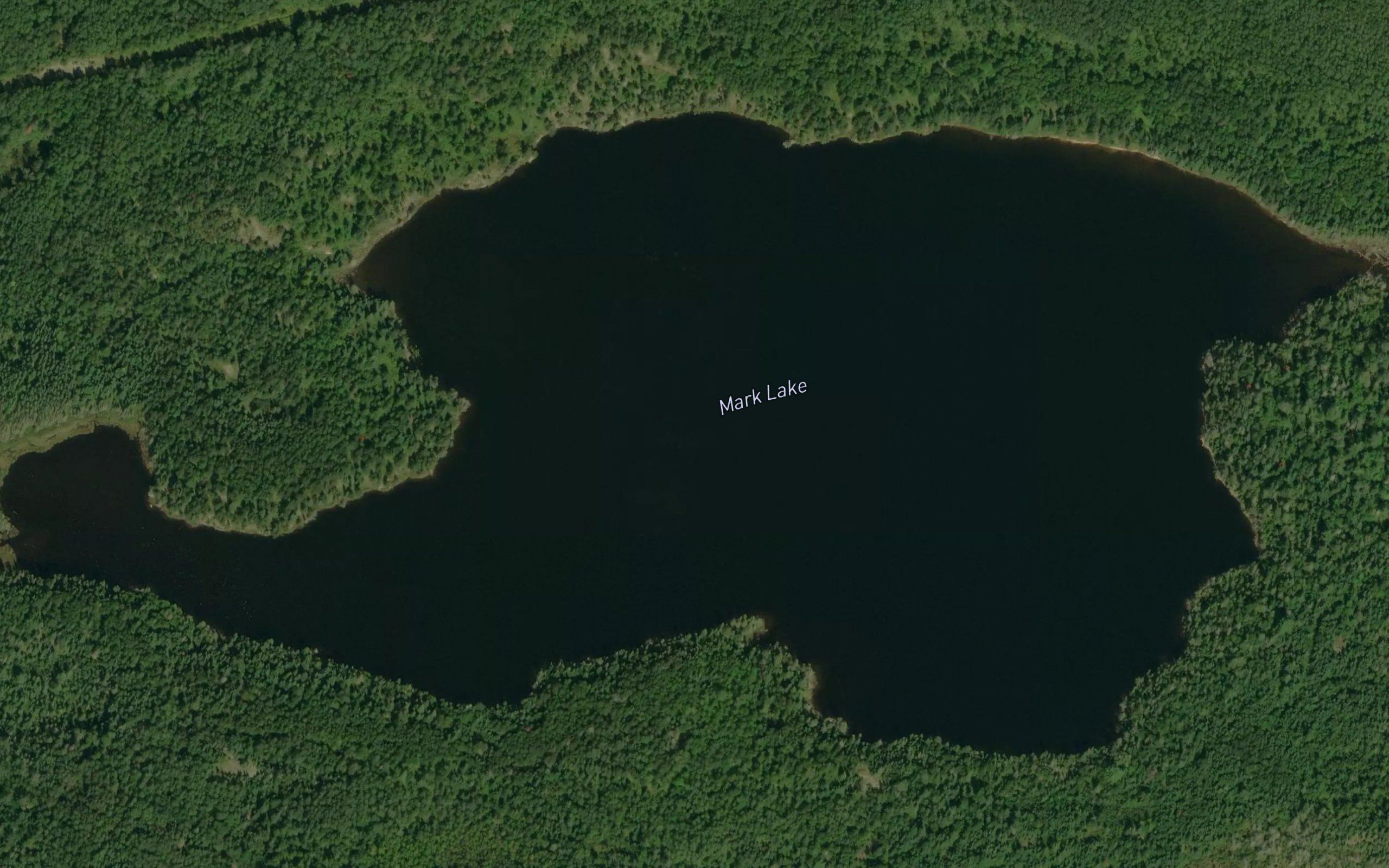 Mark Lake