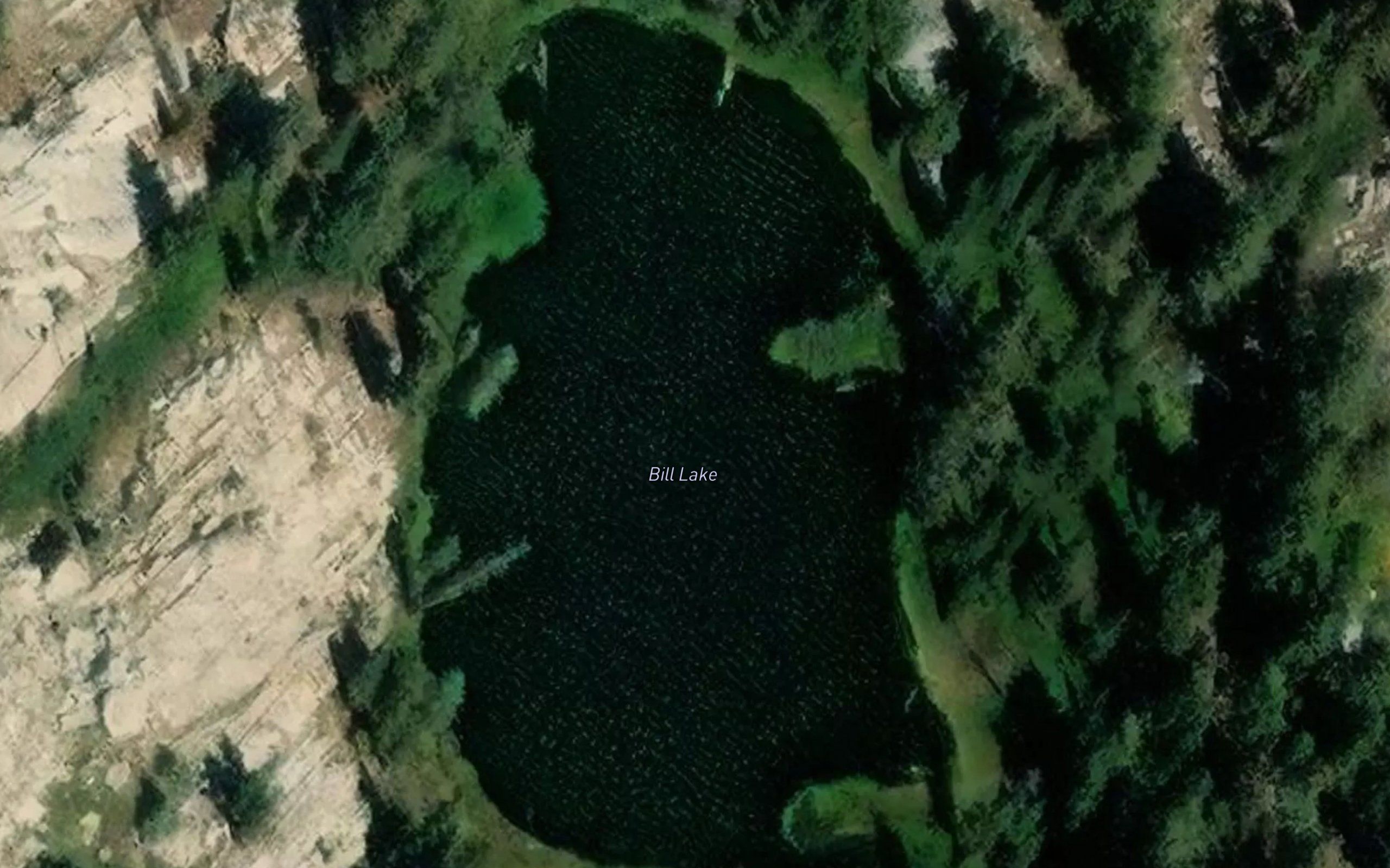 Bill Lake