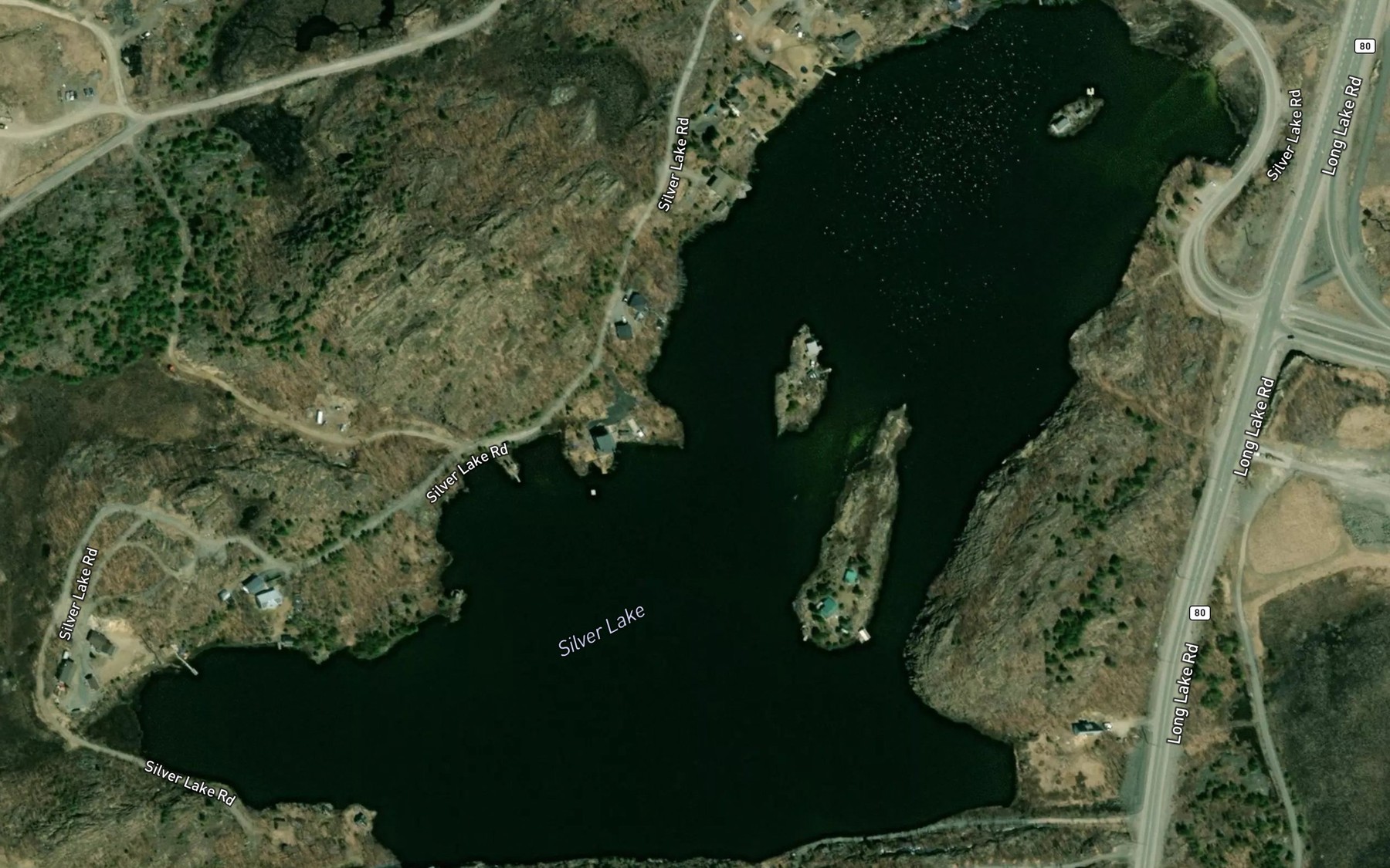 Satellite map of the Silver Lake