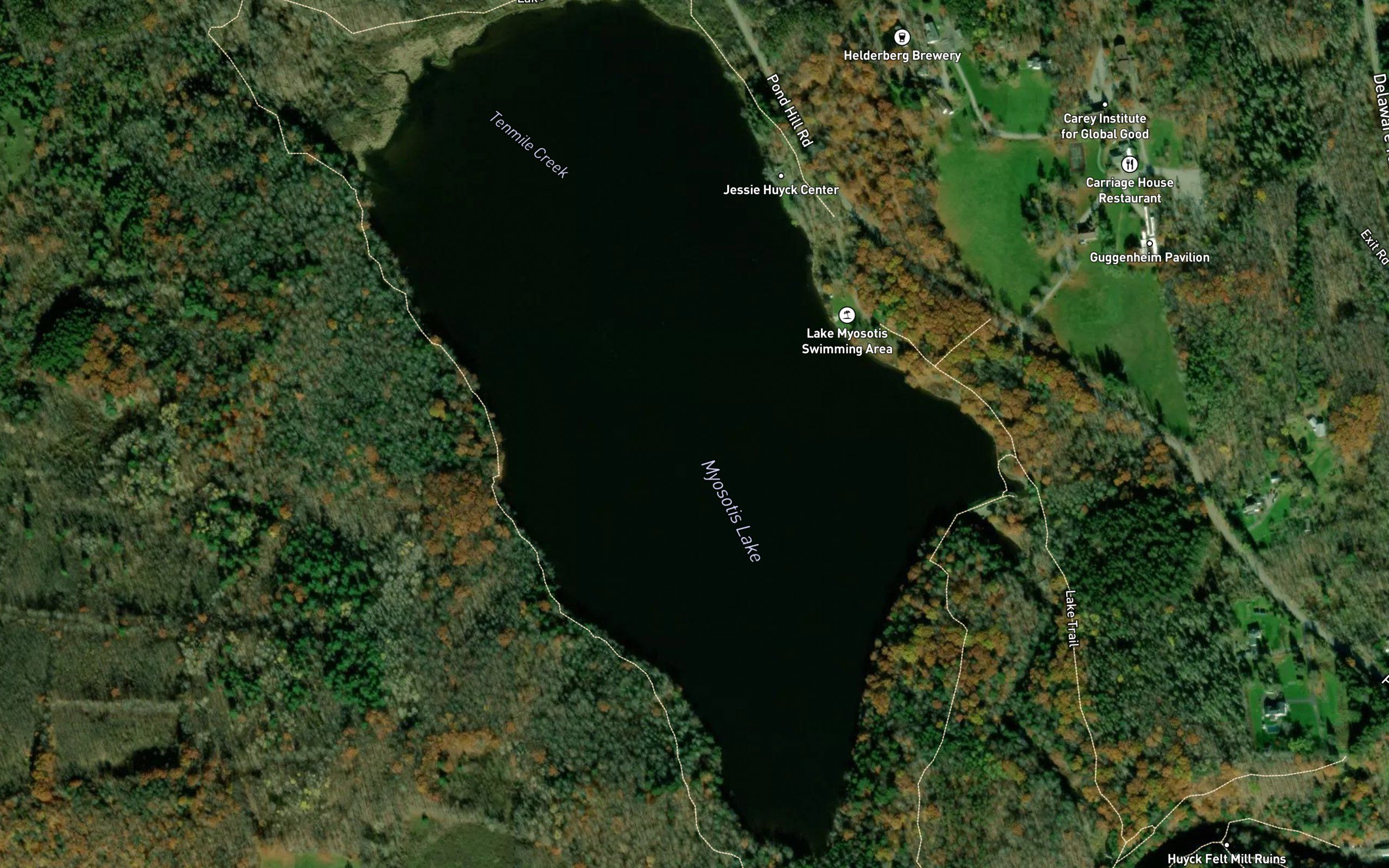 Myosotis Lake