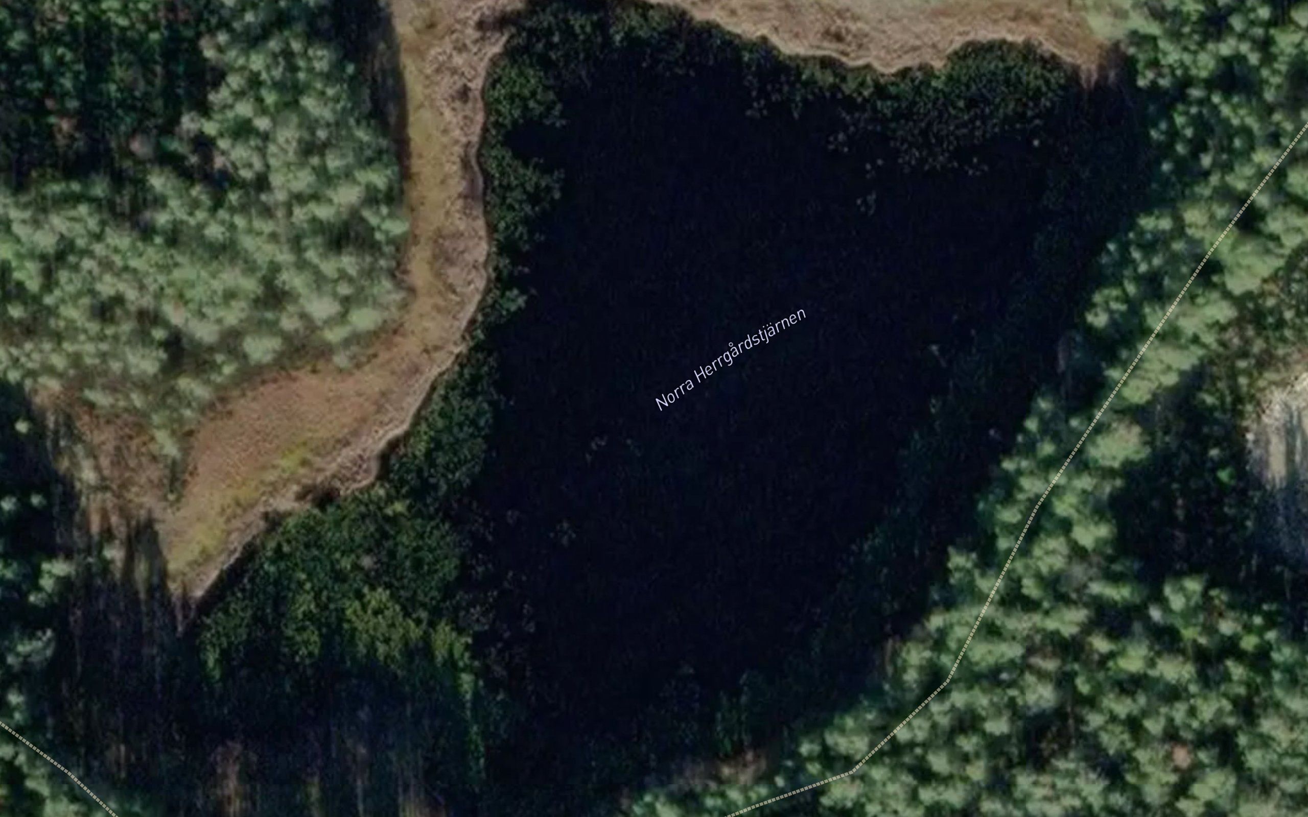 Norra Herrgardstjaernen