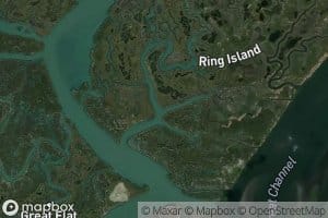 Ring Island Creek