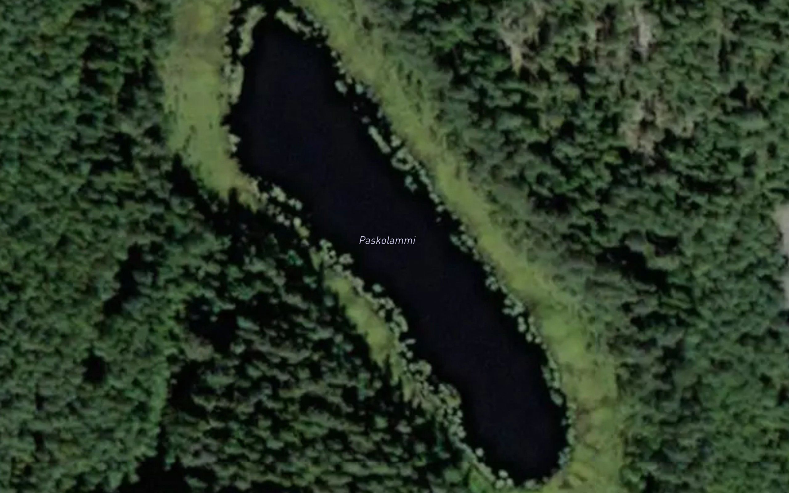 Paskolammi