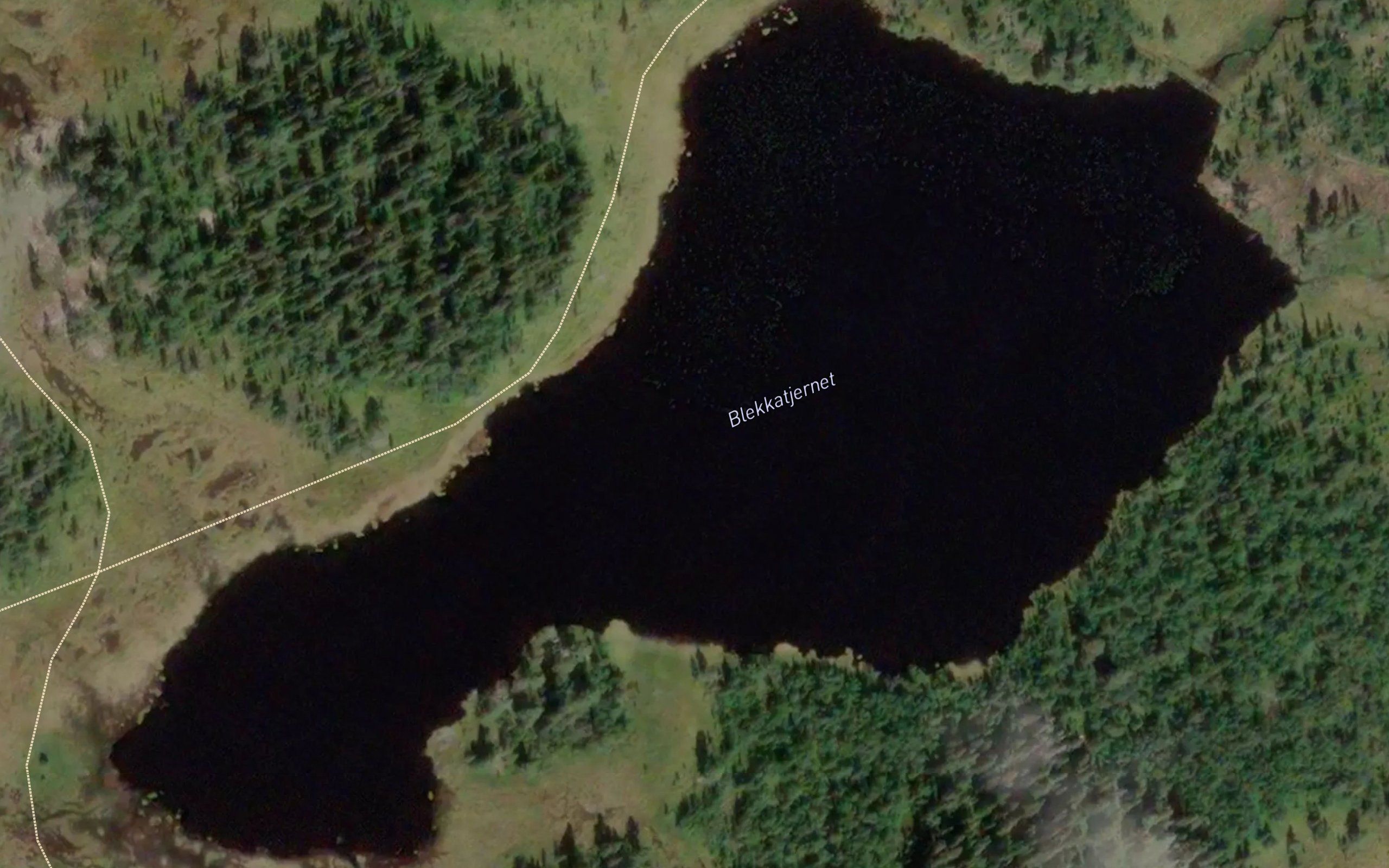 Blekkatjern