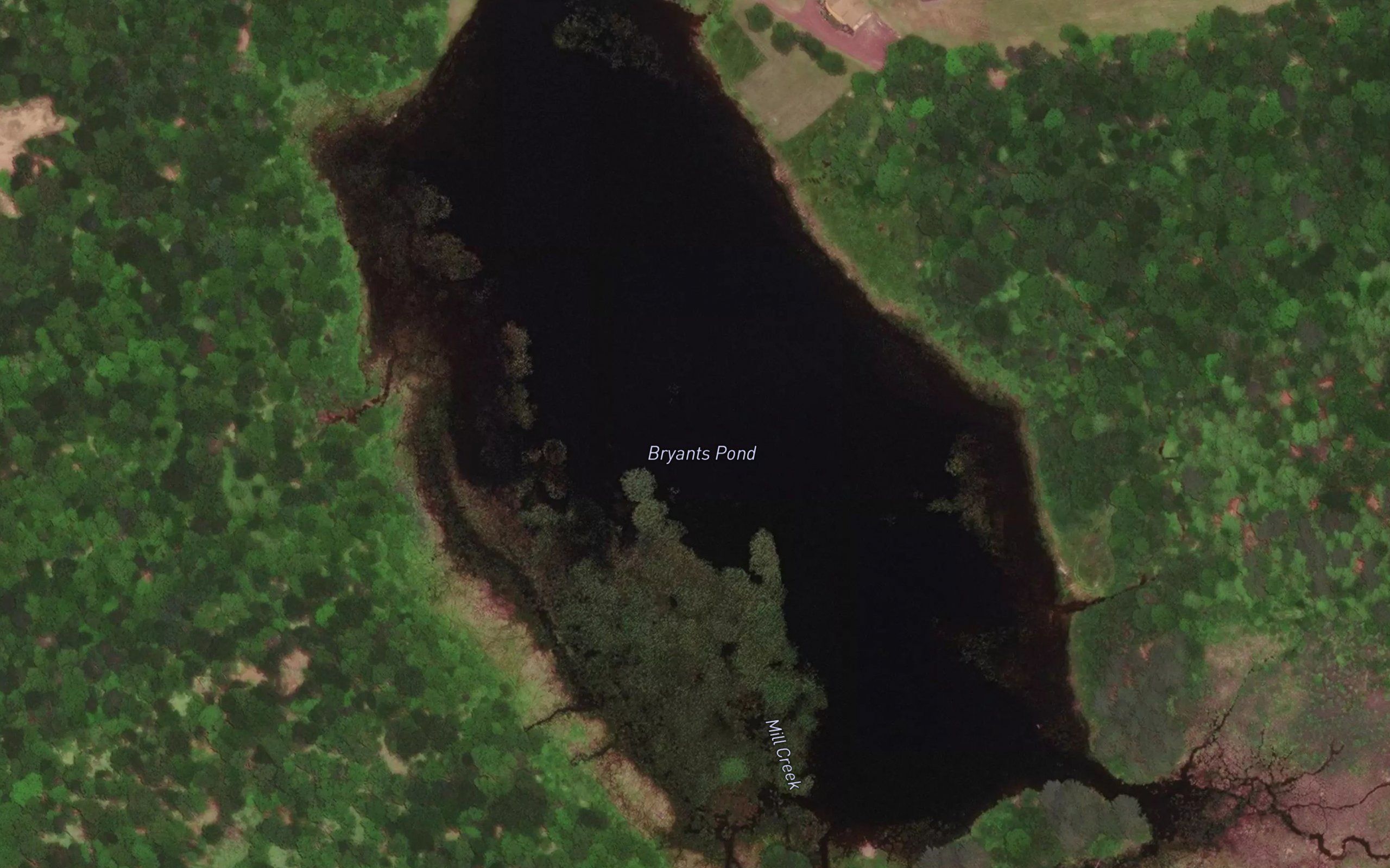 Bryants Pond