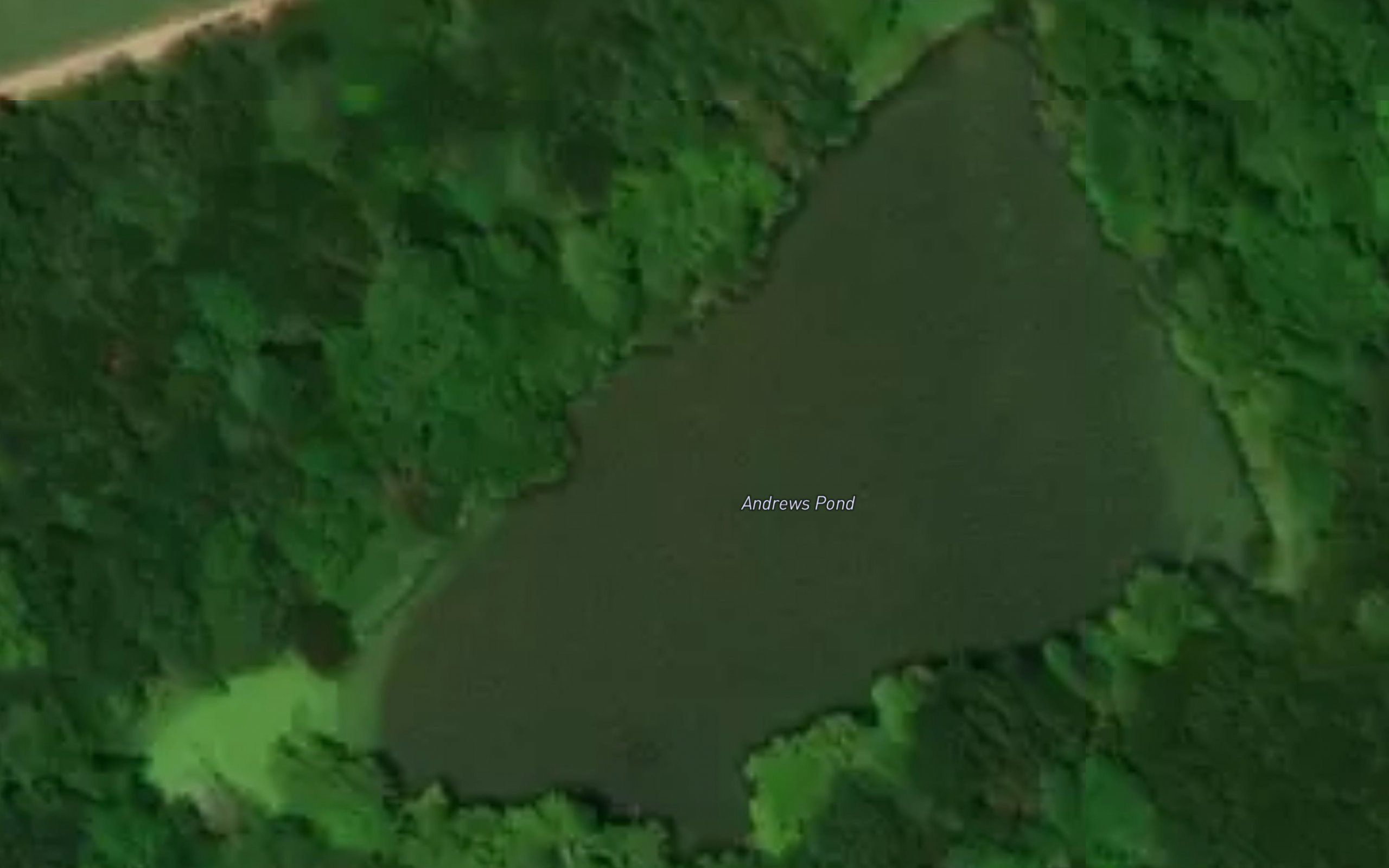 Andrews Pond