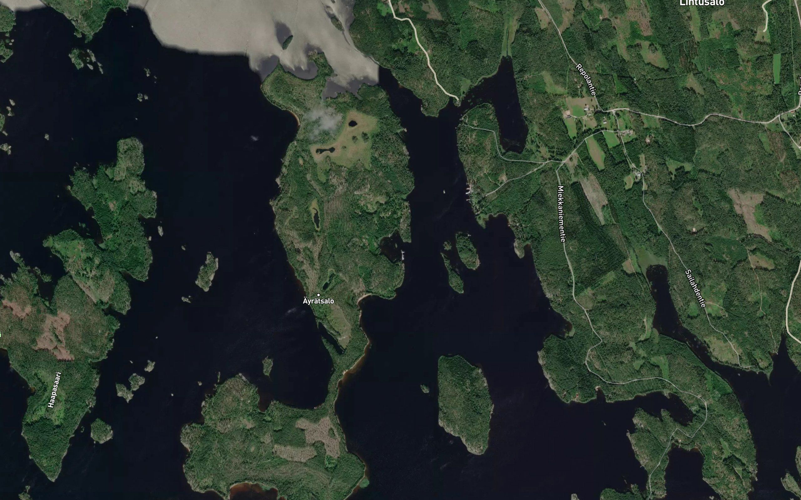 Kivikonlahti
