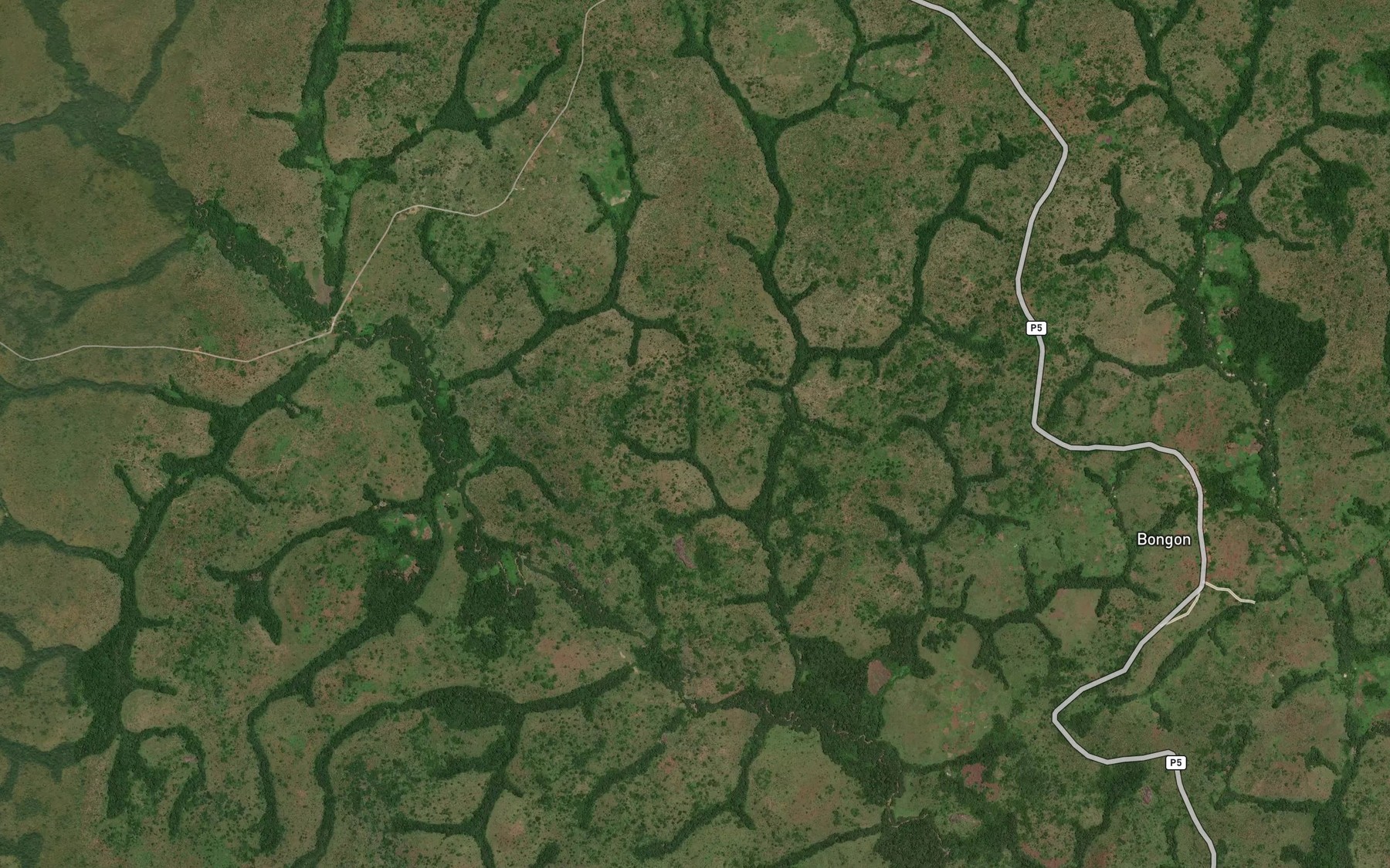 Satellite map of the Linguil