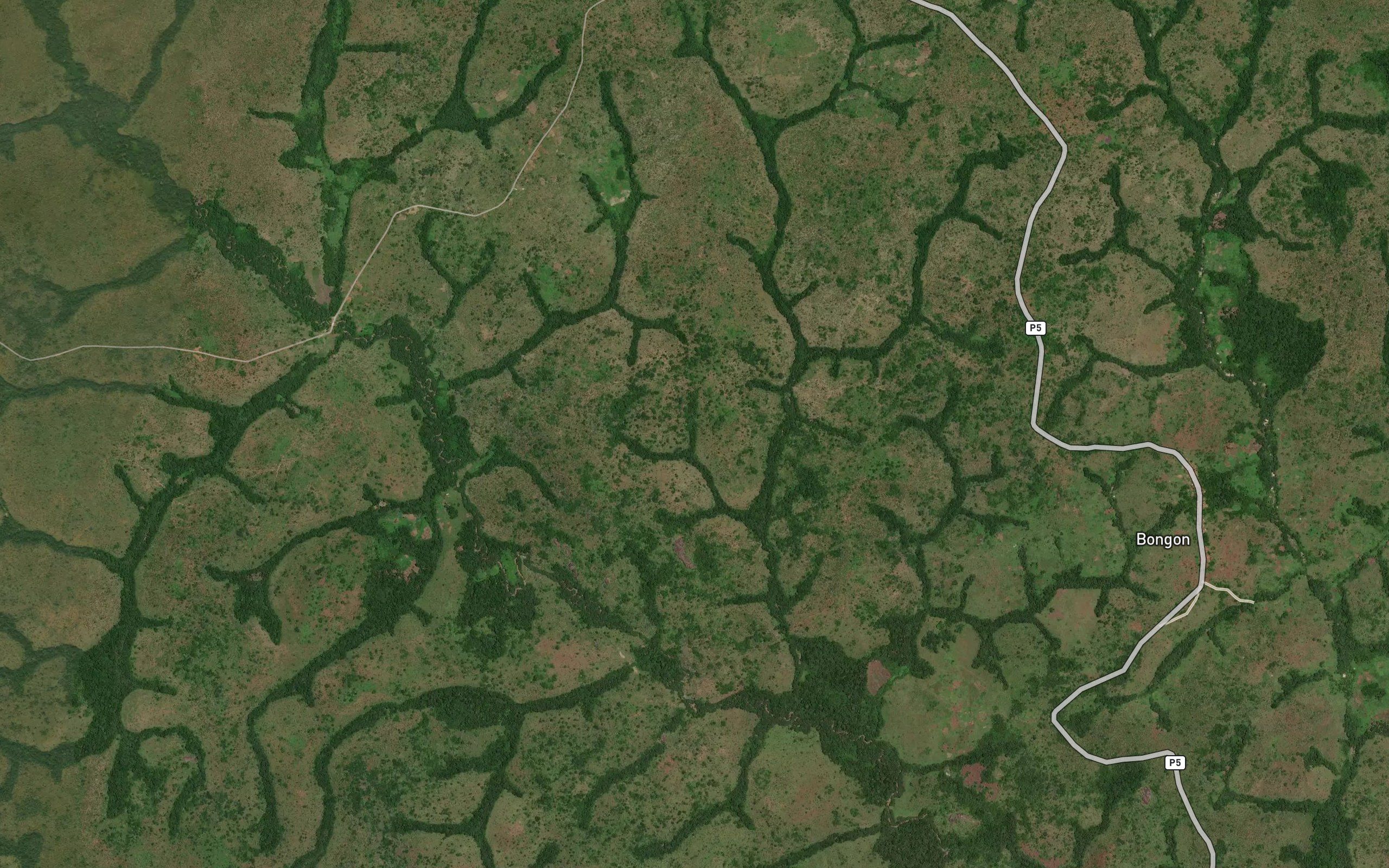 Linguil
