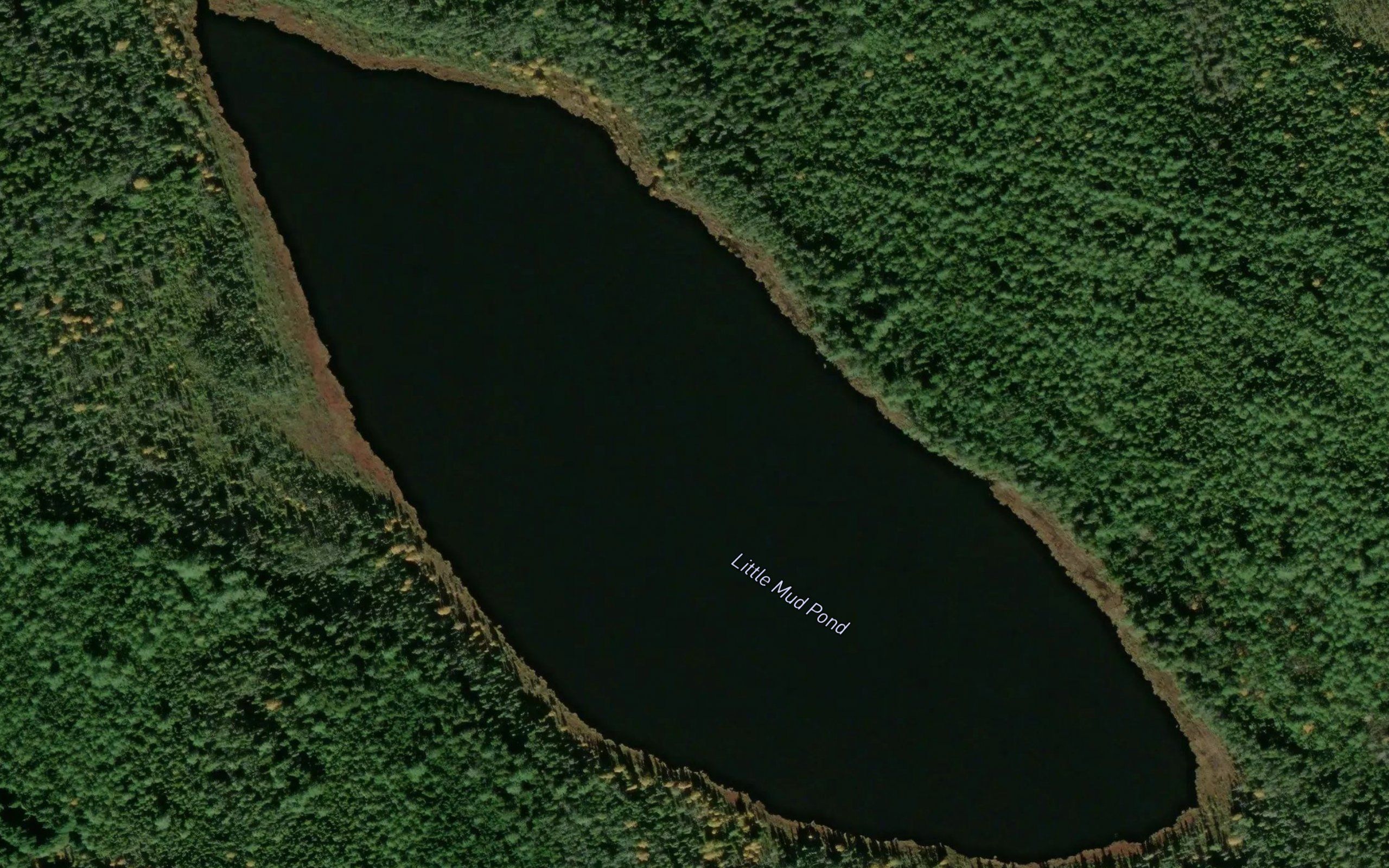 Little Mud Pond