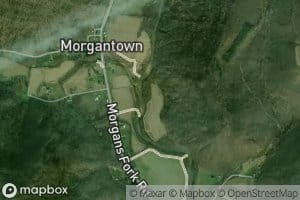 Left Fork Morgan Fork