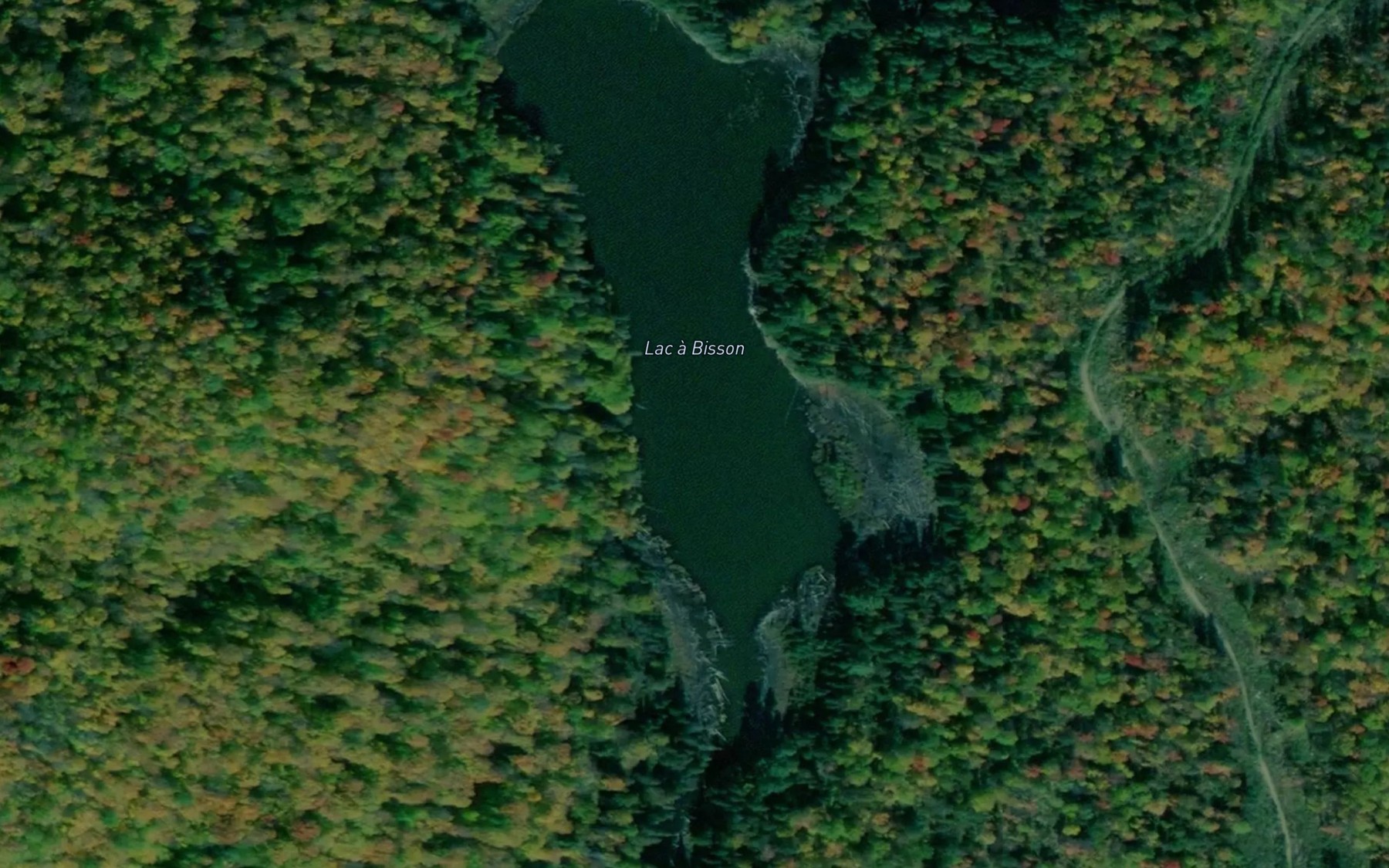 Satellite map of the Lac a Bisson