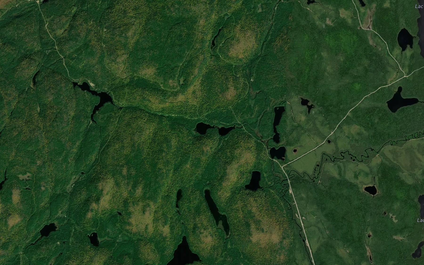 Satellite map of the Lac de la Premiere Branche