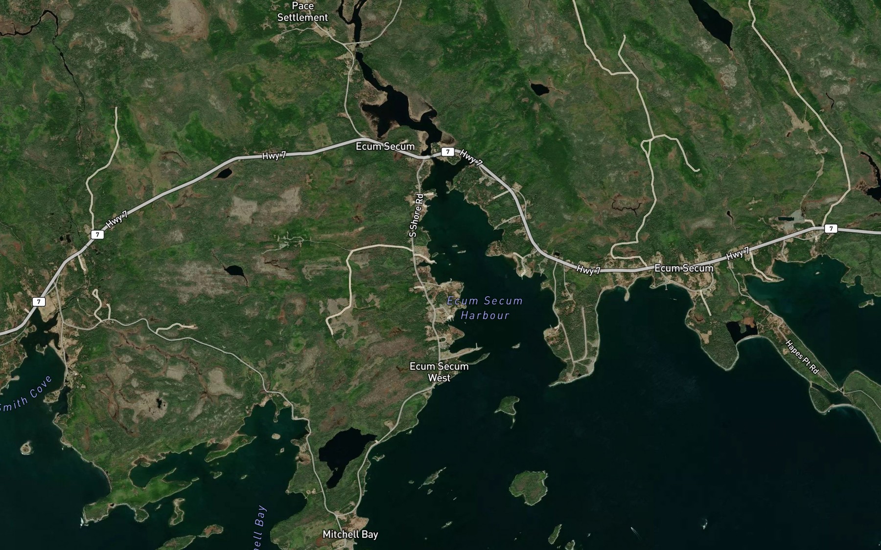 Satellite map of the Whale Cove