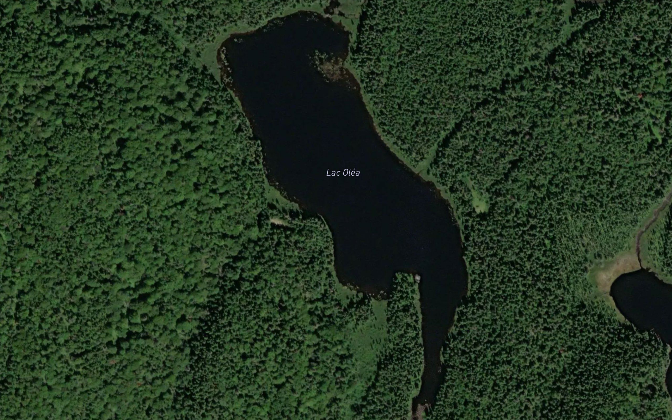 Lac Olea