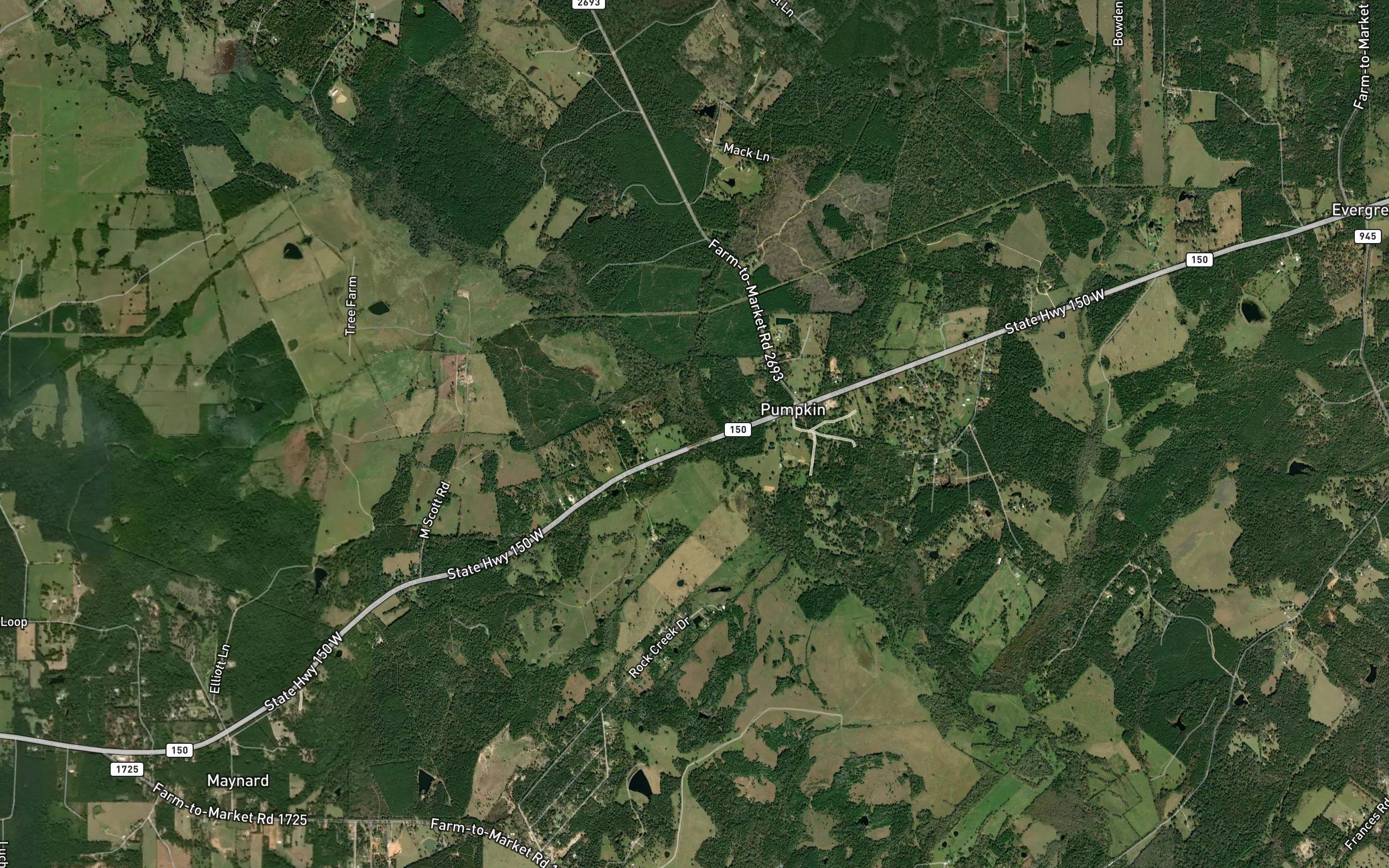 Chinquapin Creek