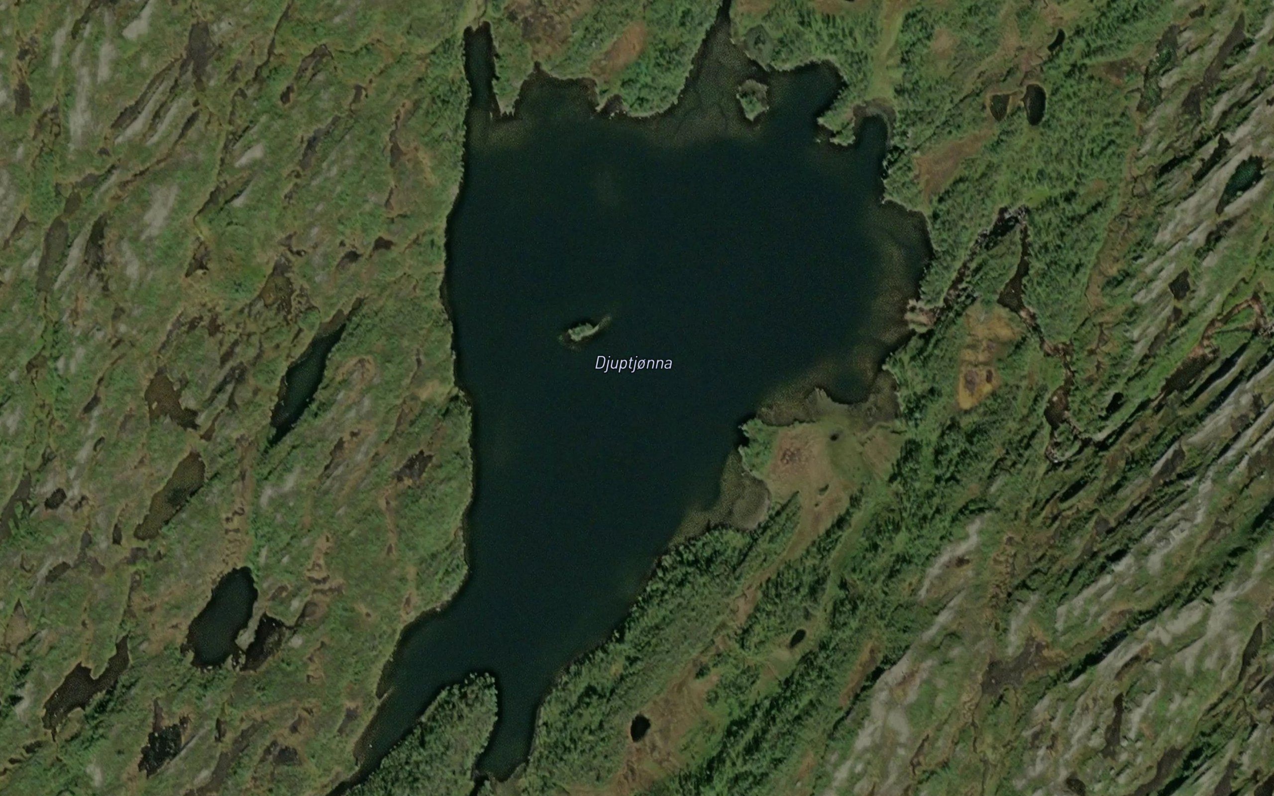 Djuptjorna