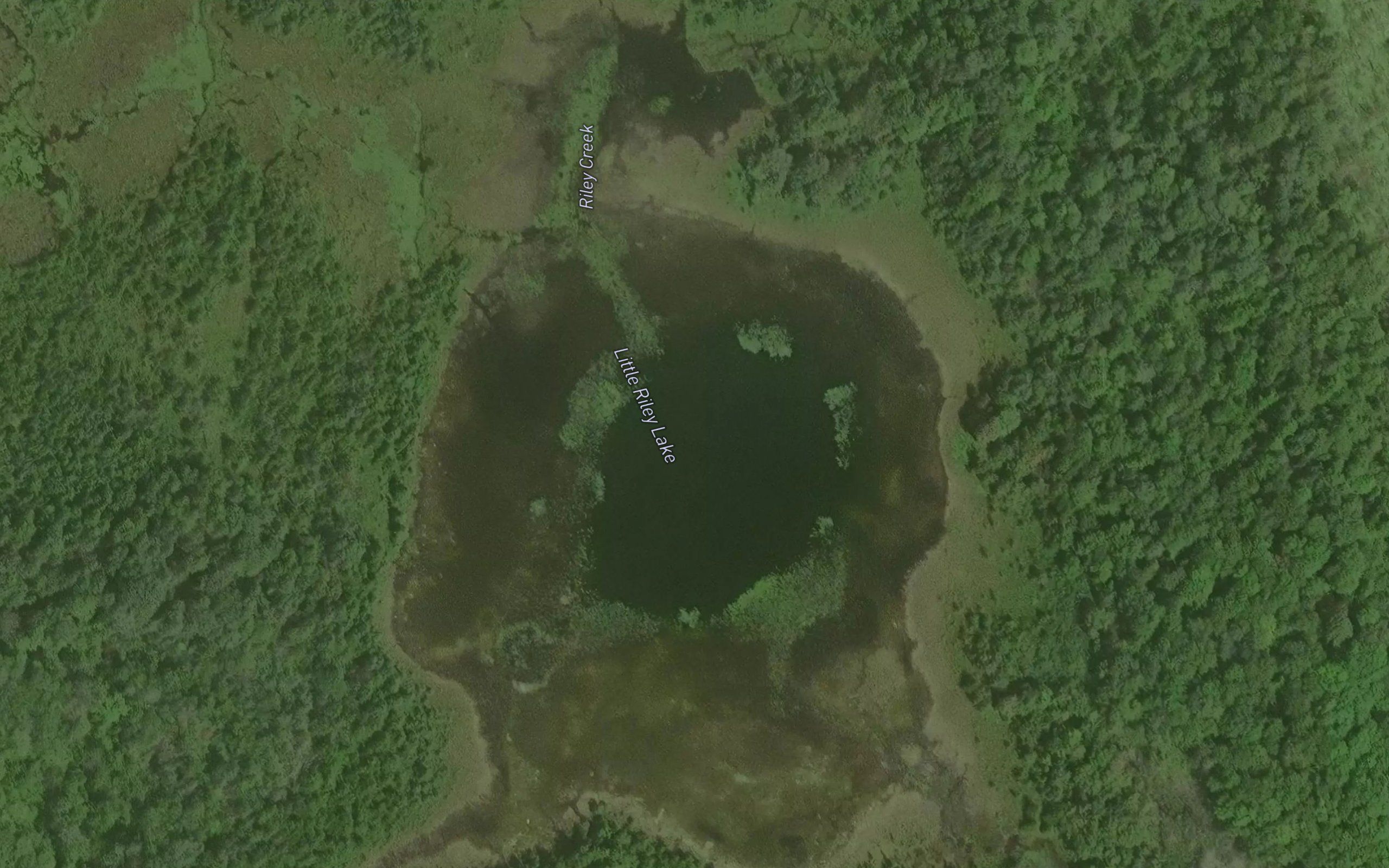 Little Riley Lake