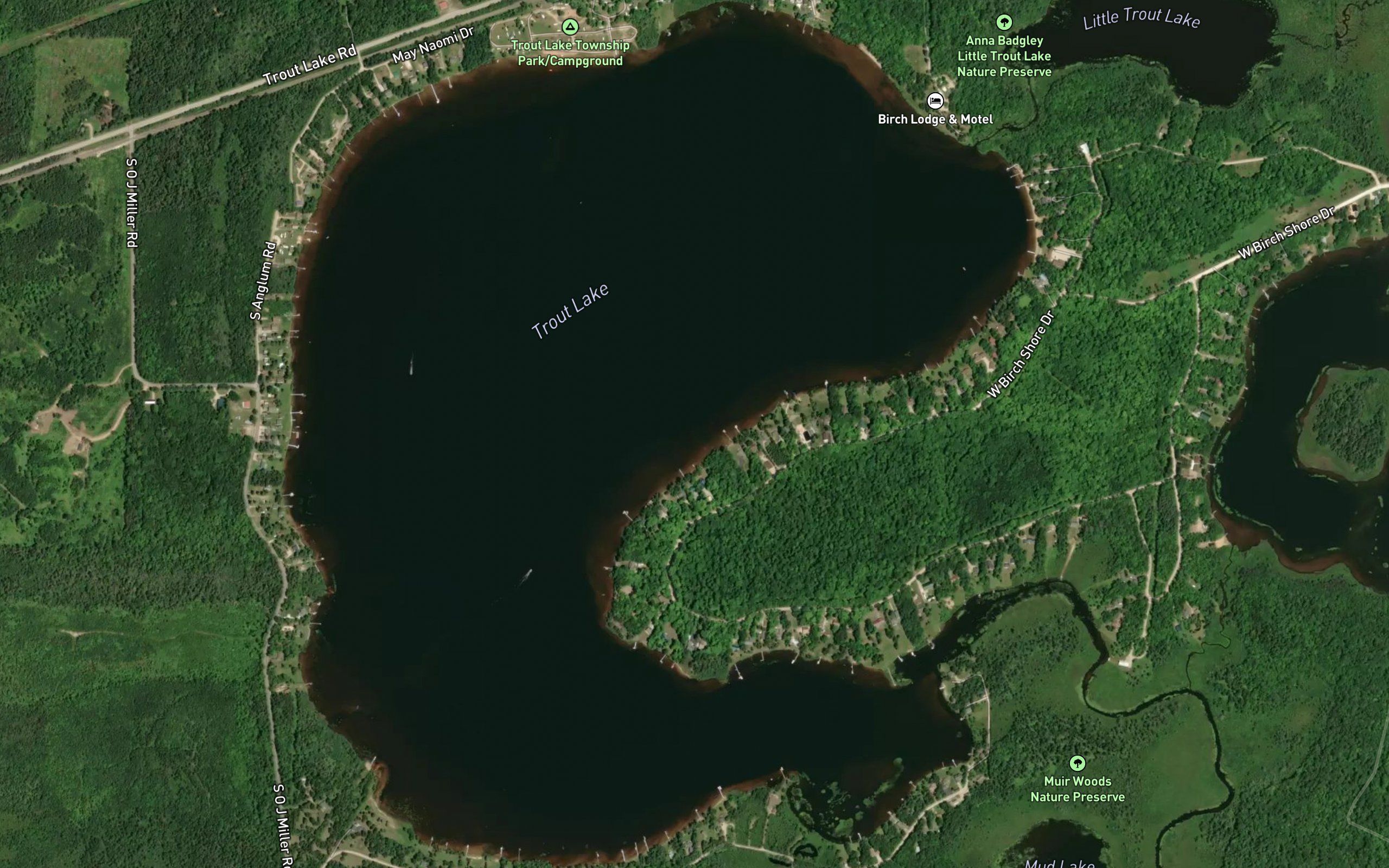 Trout Lake
