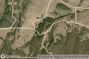 Kyle Harrison Spring