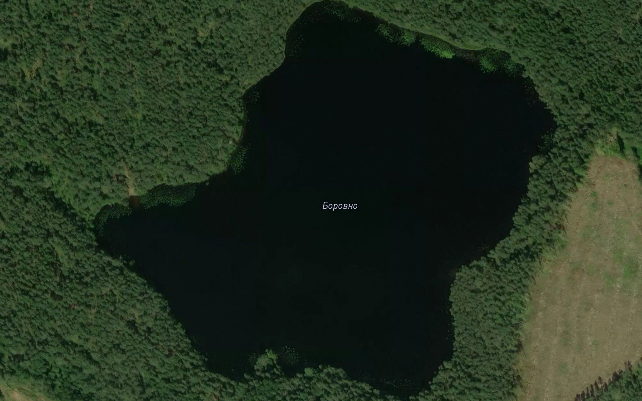 Ozero Borovno