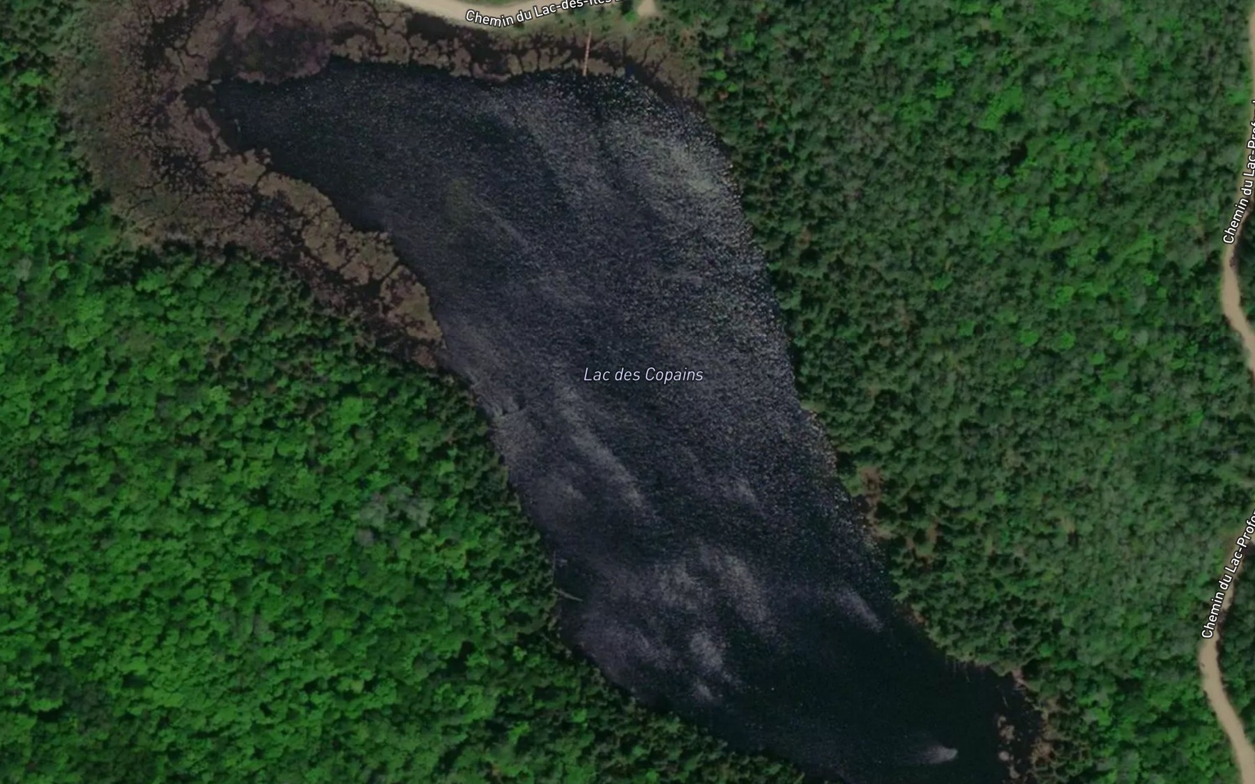 Satellite map of the Lac des Copains
