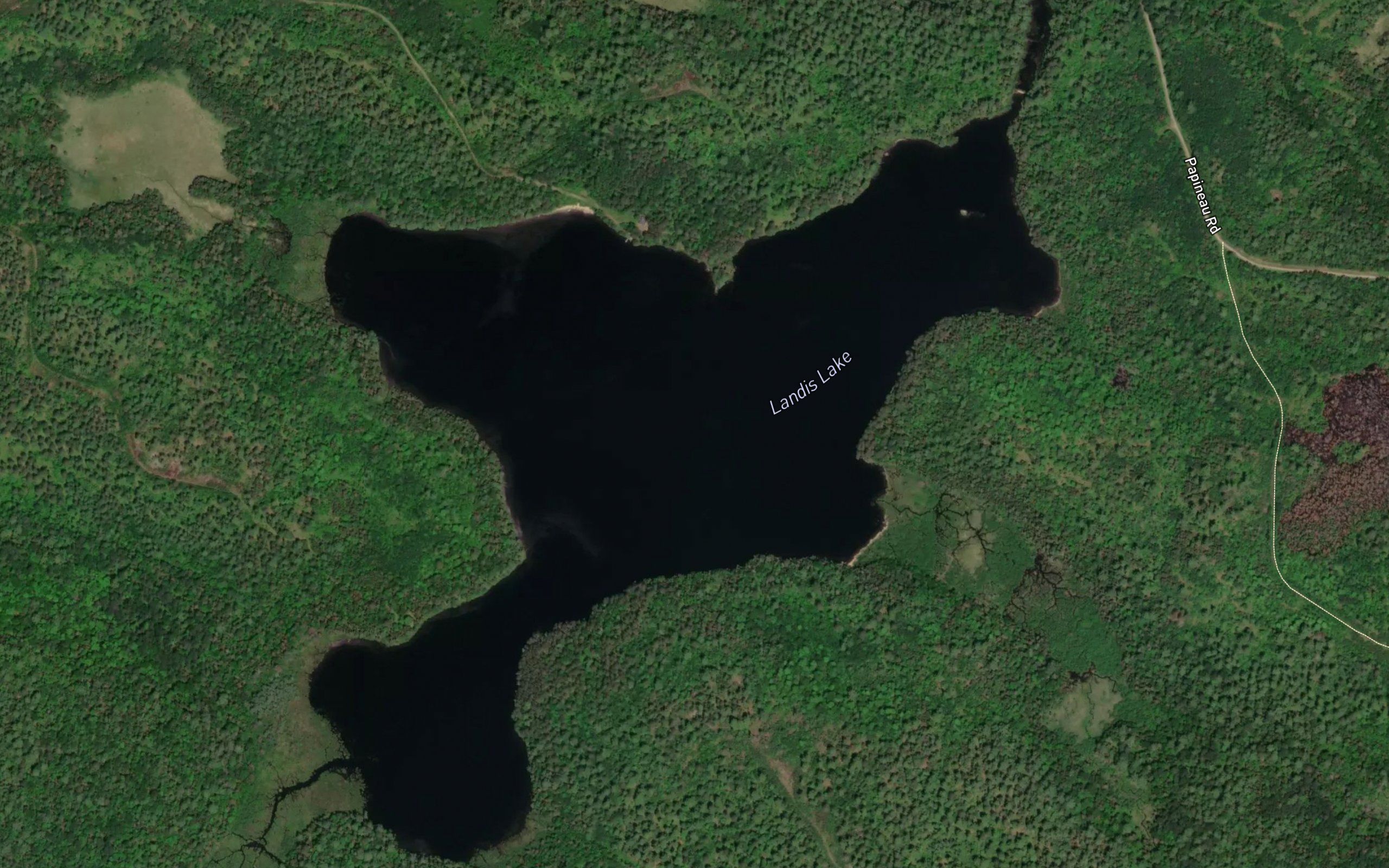 Landis Lake