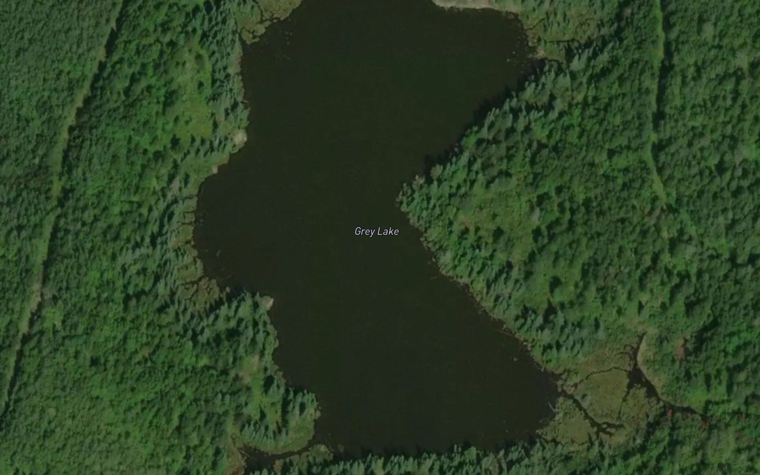 Grey Lake