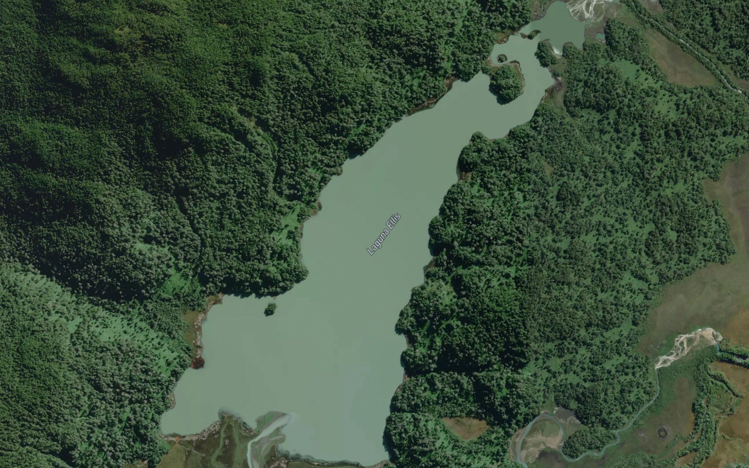 Lago Ellis