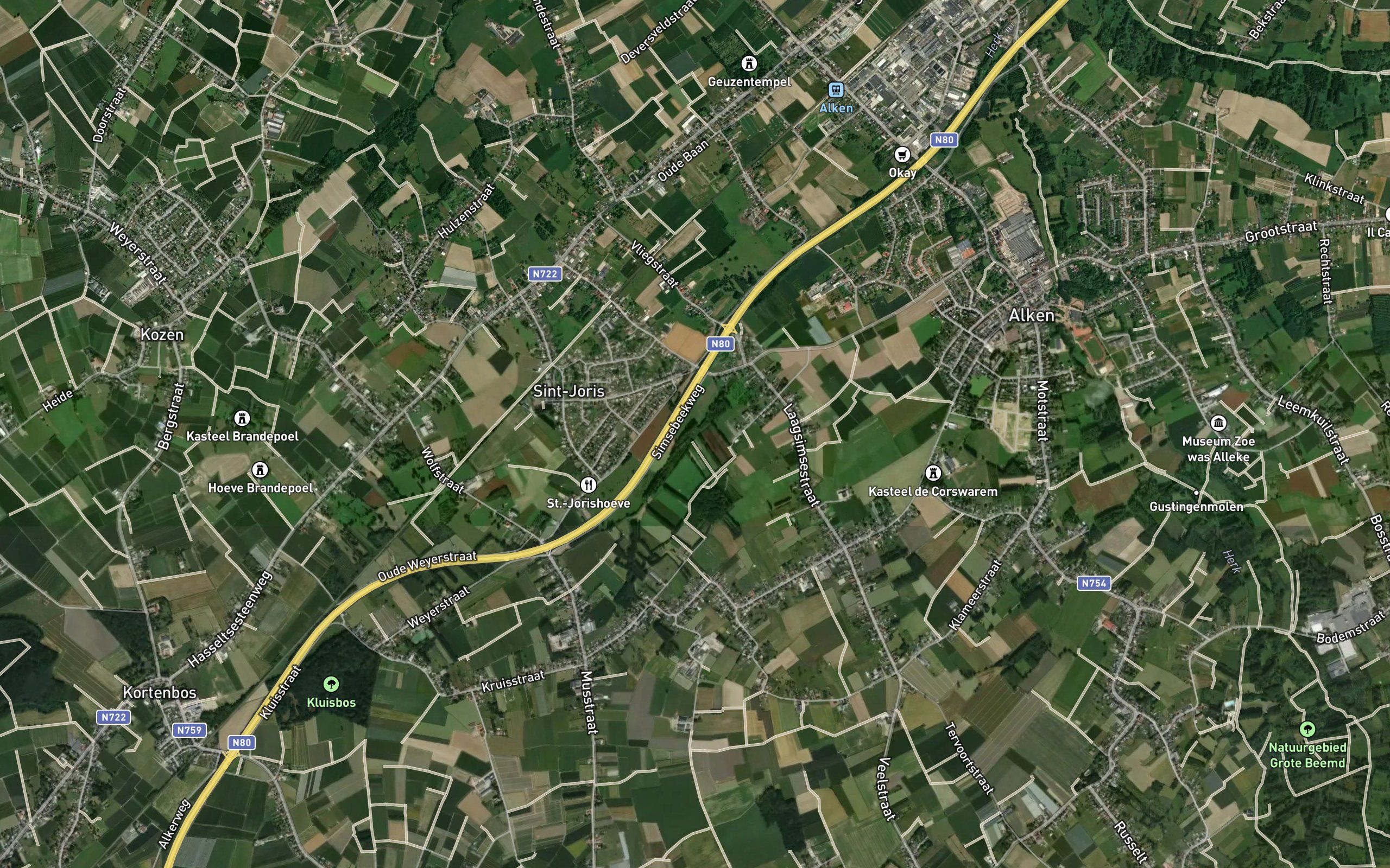 Simsebeek