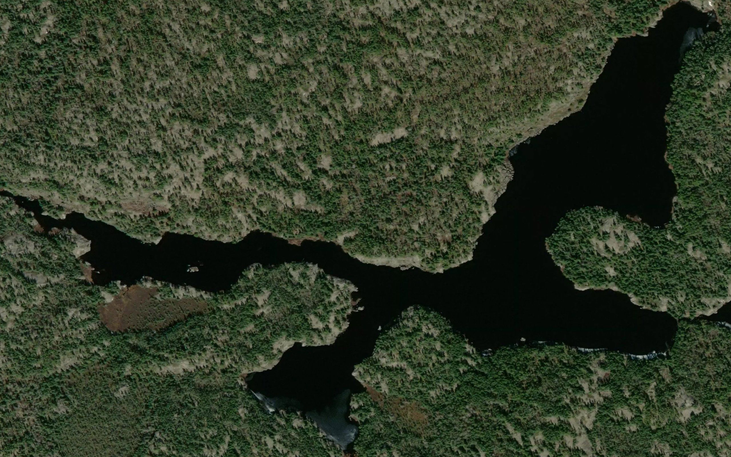 Workman Lake