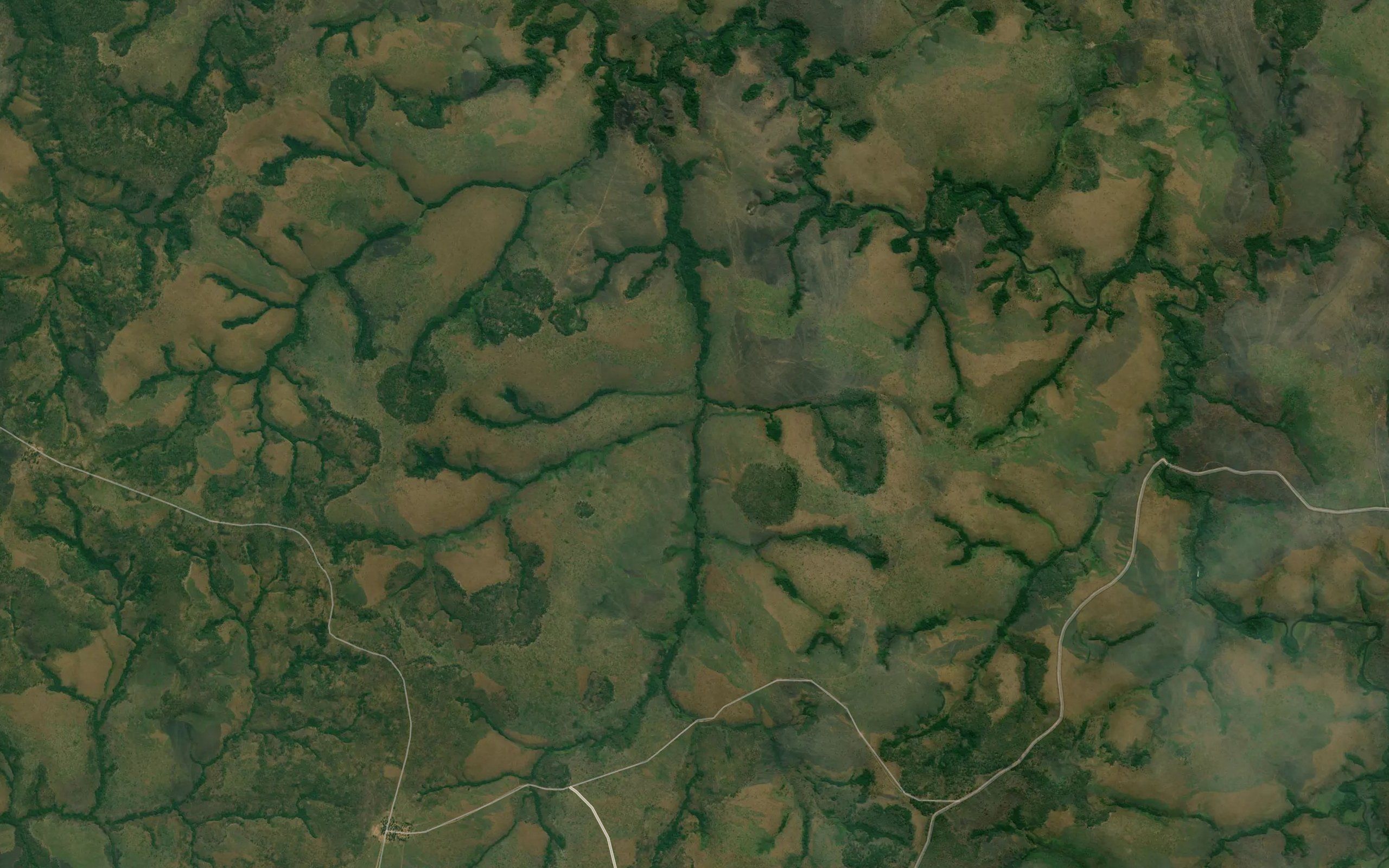 Ninunga