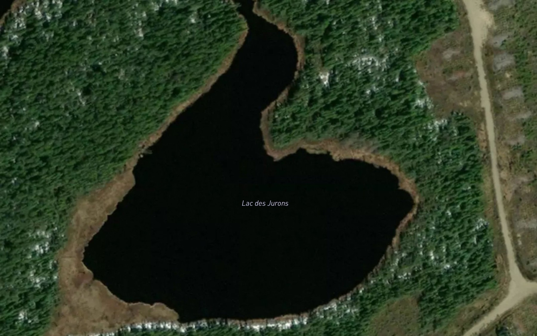 Satellite map of the Lac des Jurons