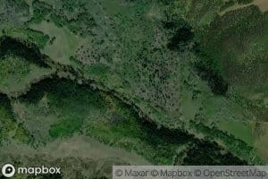 Twin Spruce Ditch