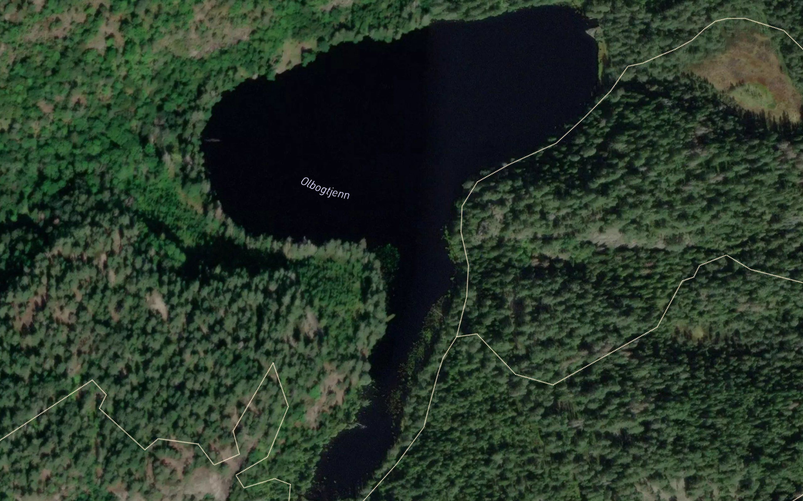 Albogetjorn