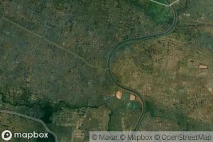 Distributary Number Four