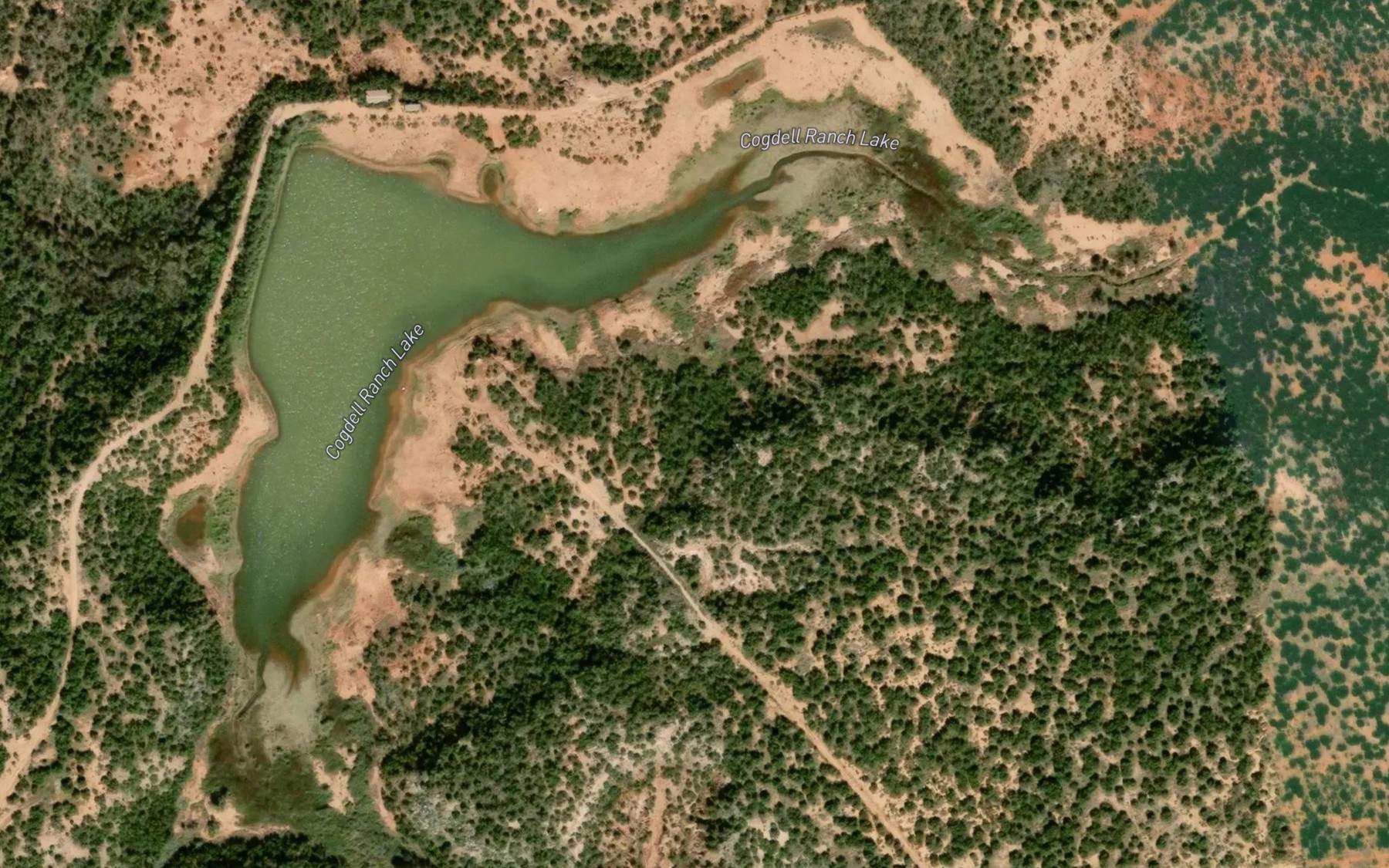 Satellite map of the Cogdell Ranch Lake