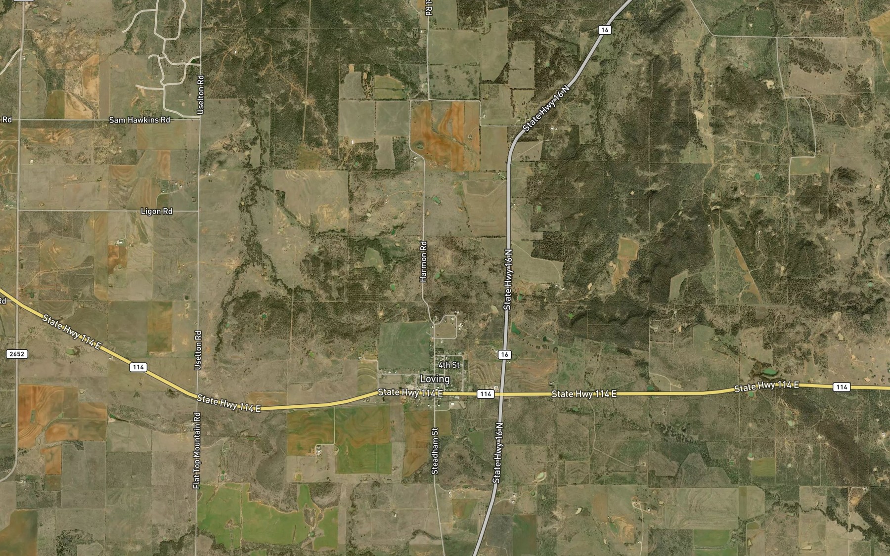 Satellite map of the Newman Lake