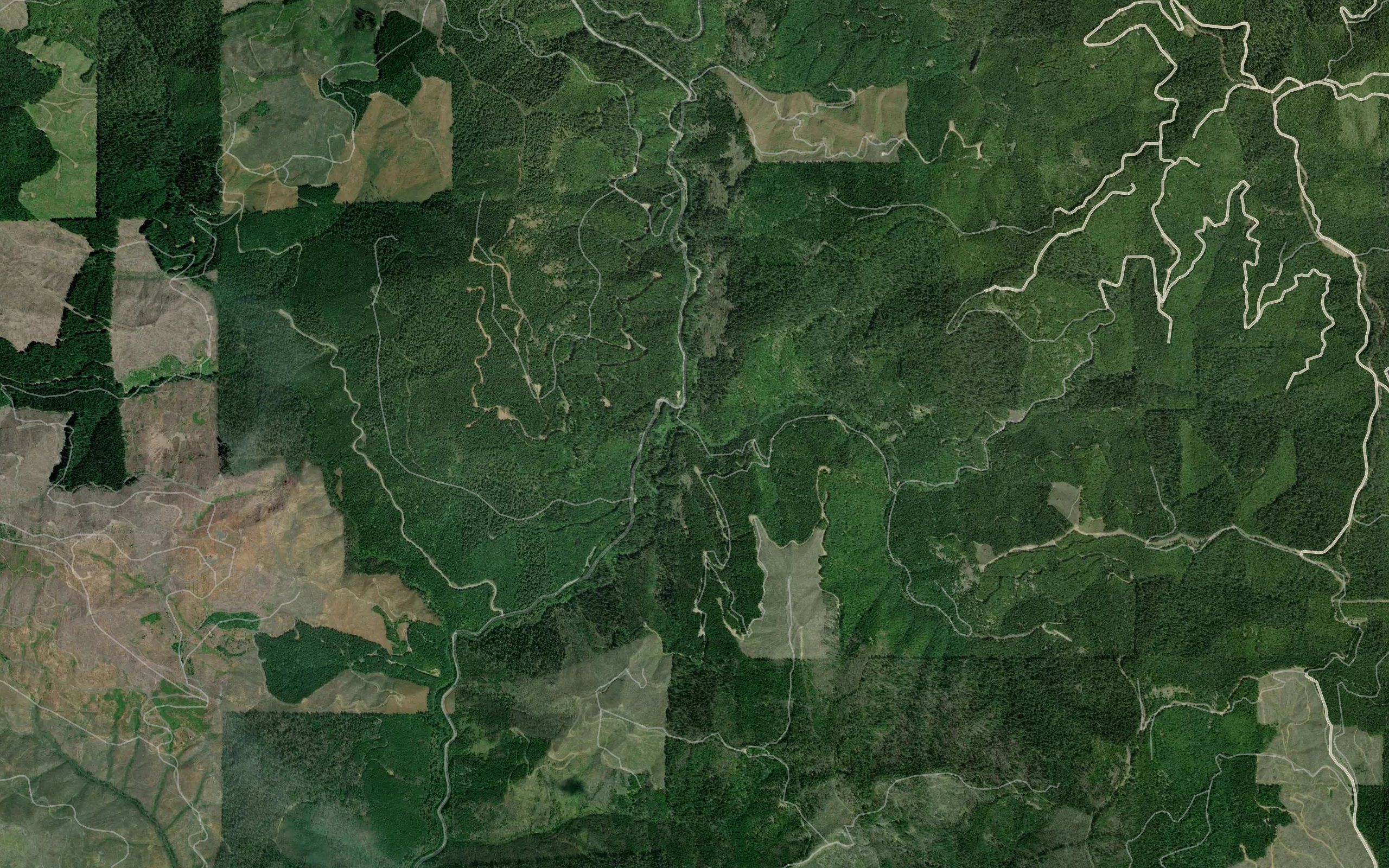 Zig Zag Creek