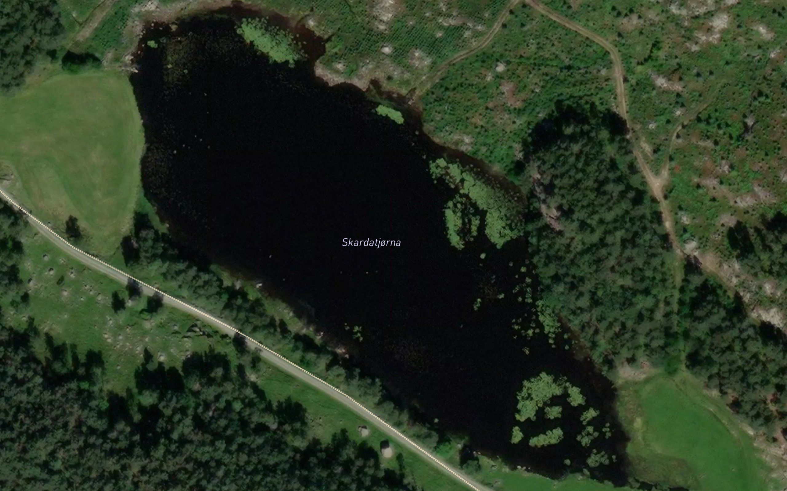 Skardatjorna