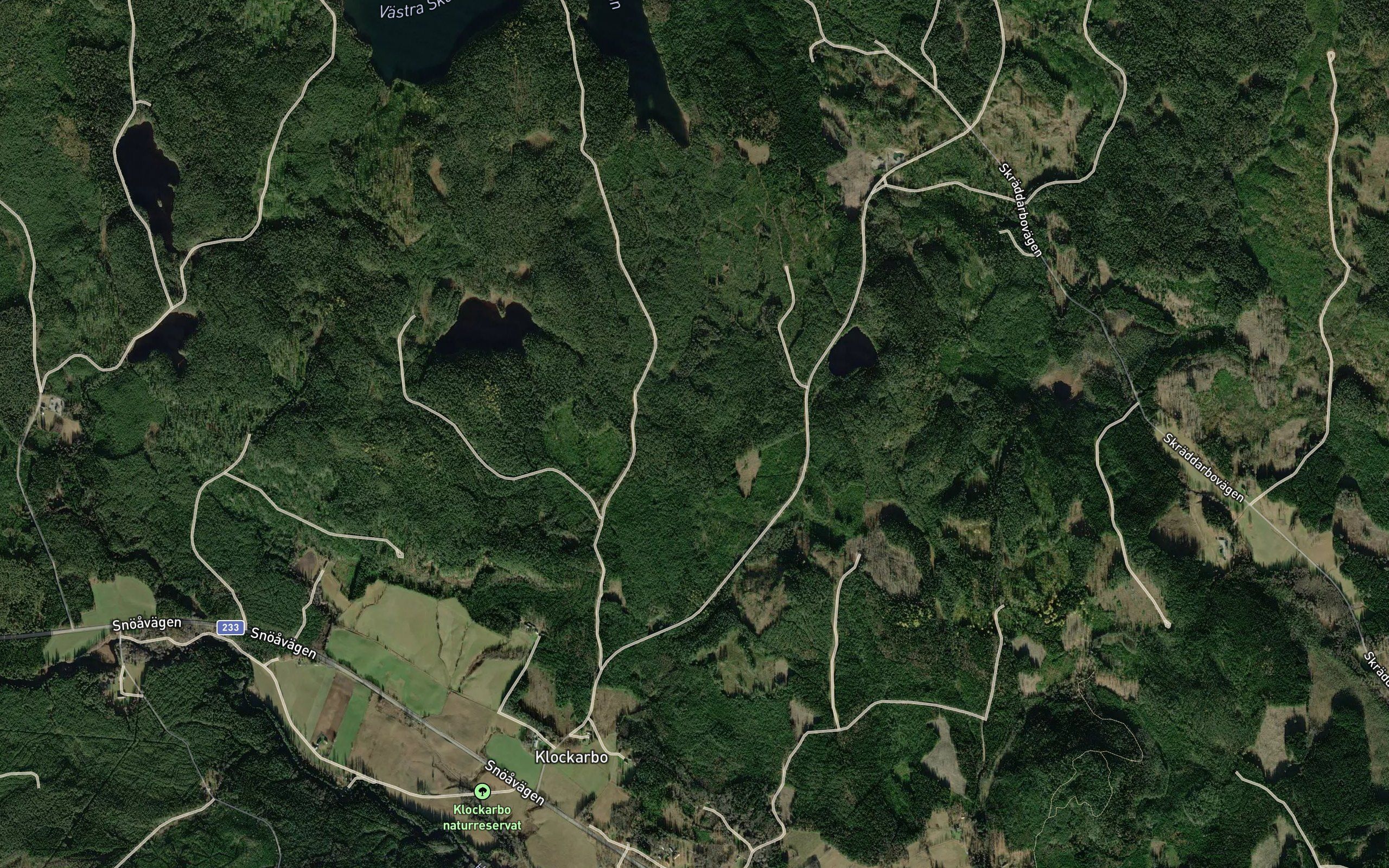 Bergtjarn