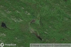 Bonamie Cove