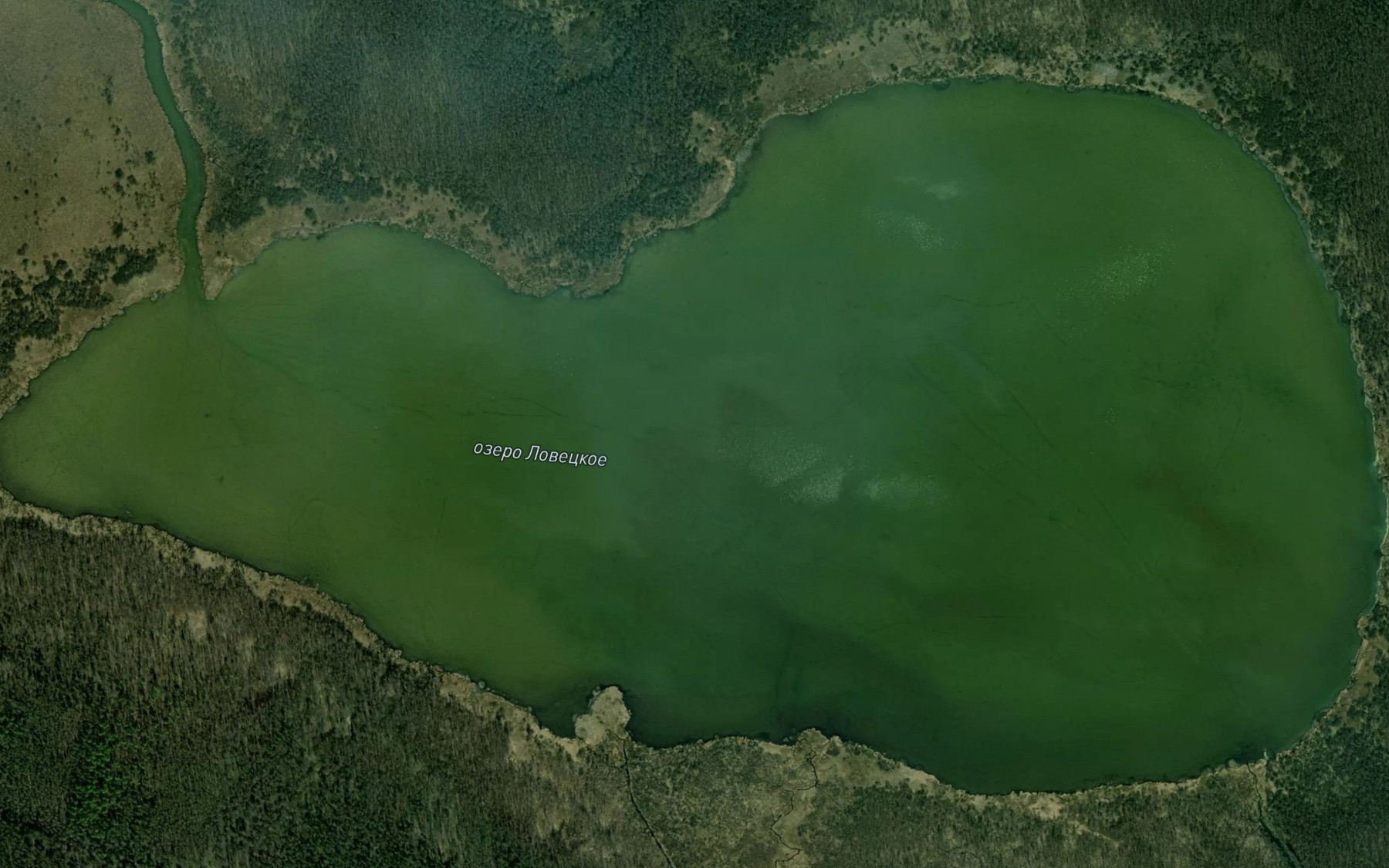 Satellite map of the Ozero Lovetskoye