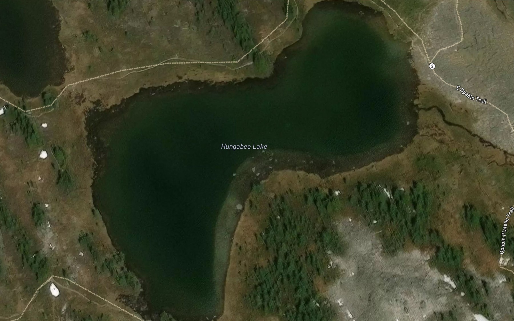 Satellite map of the Hungabee Lake