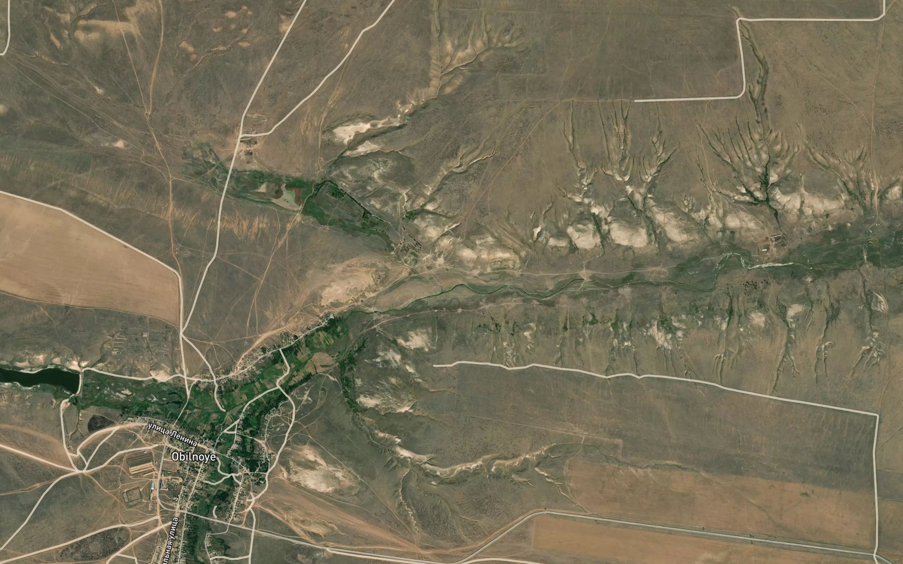 Satellite map of the Tsaryn-Zel'men