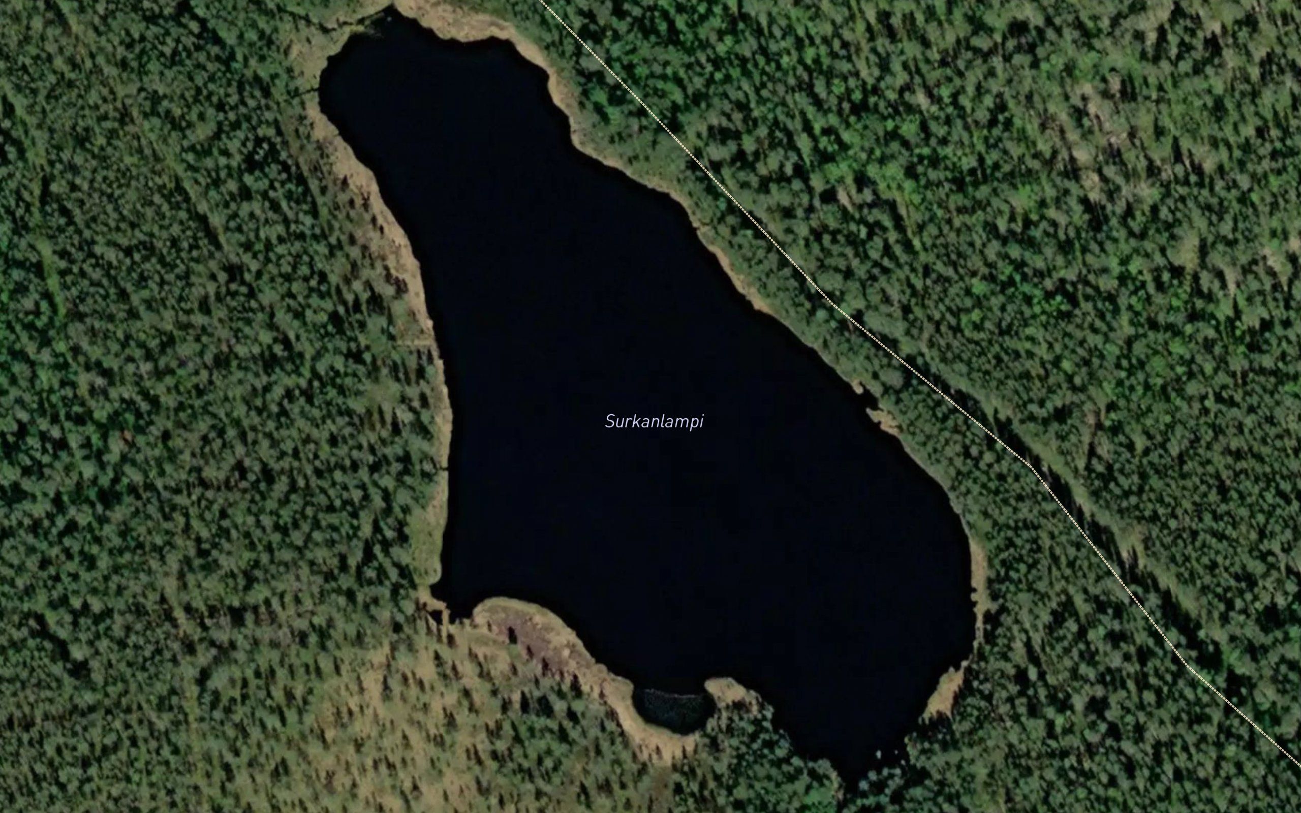 Surkanlampi
