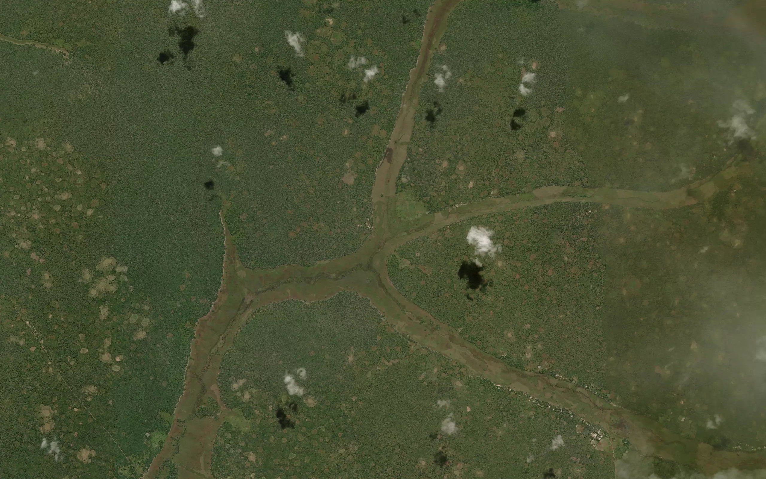 Chifwasa