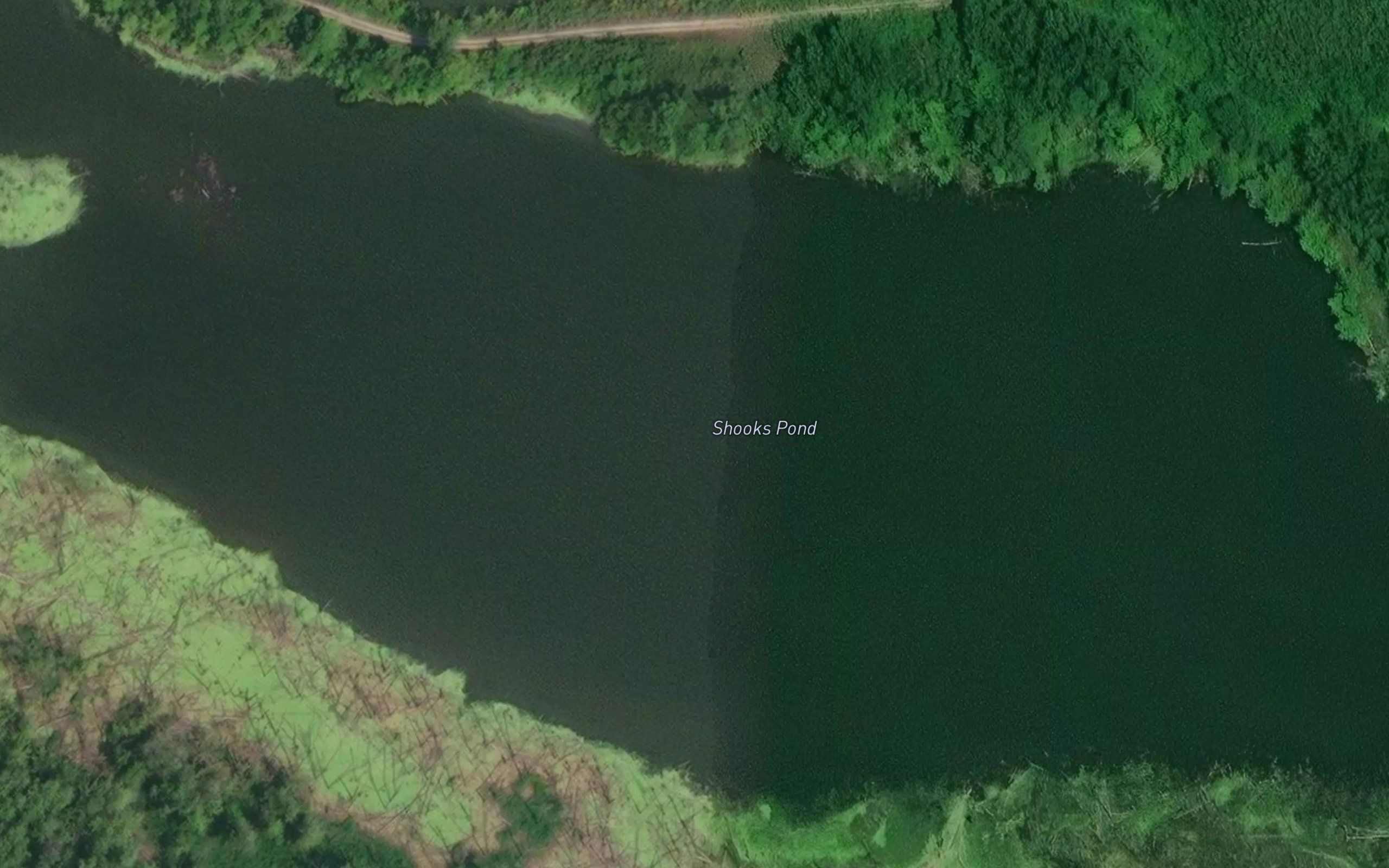 Shooks Pond